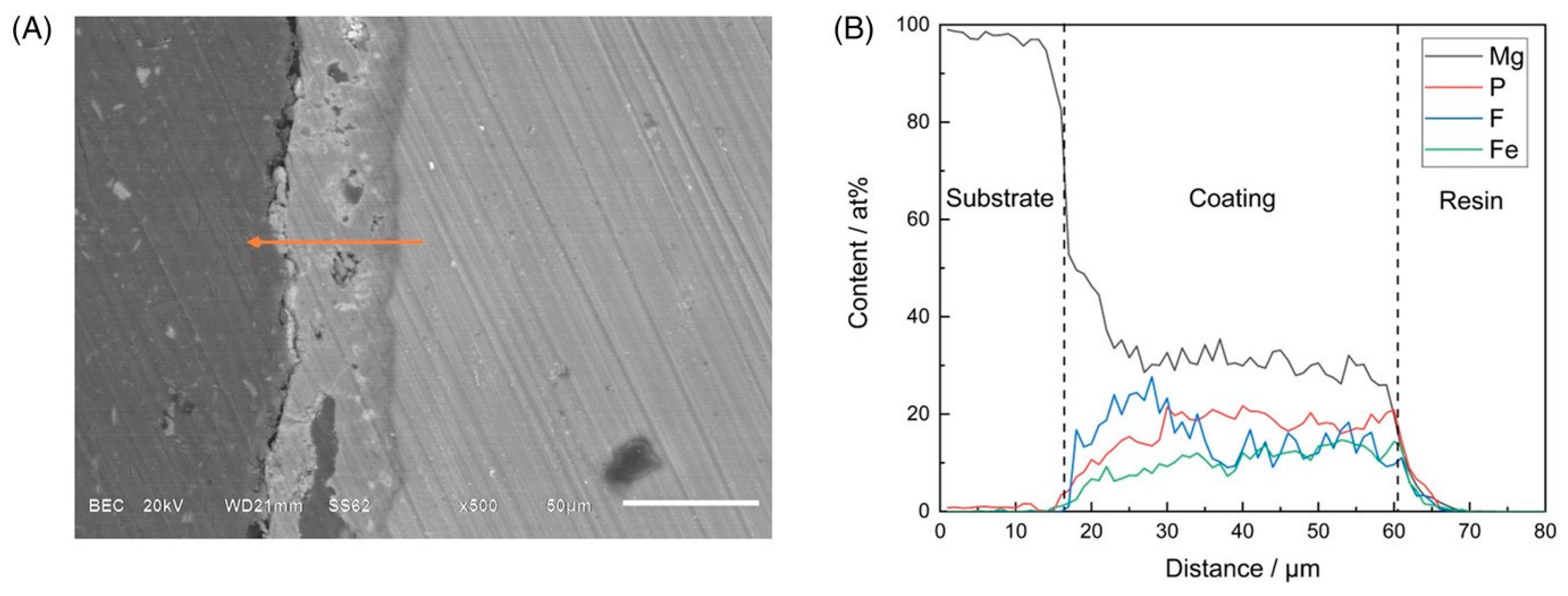 Coatings 13 01533 g017