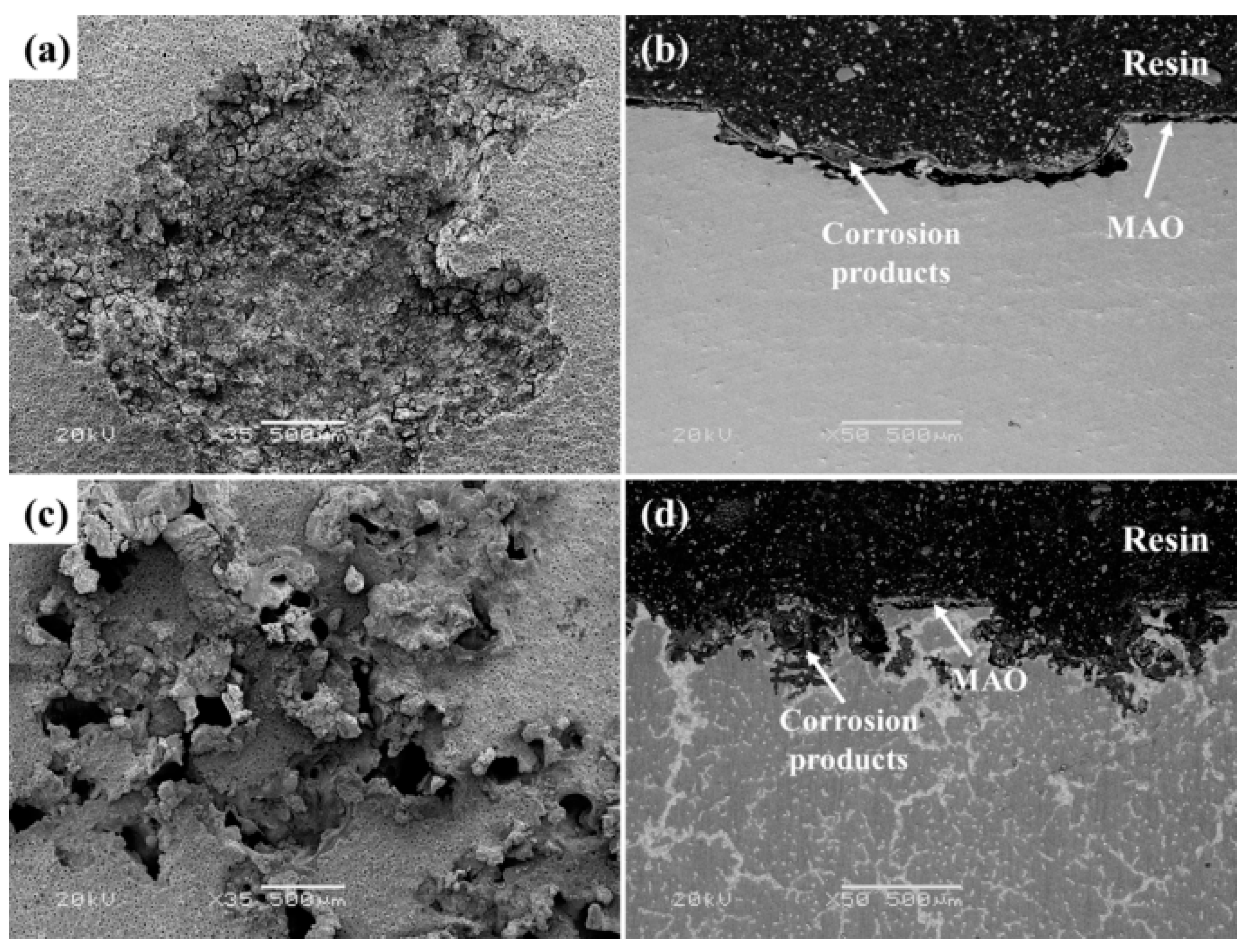 Coatings 13 01533 g019