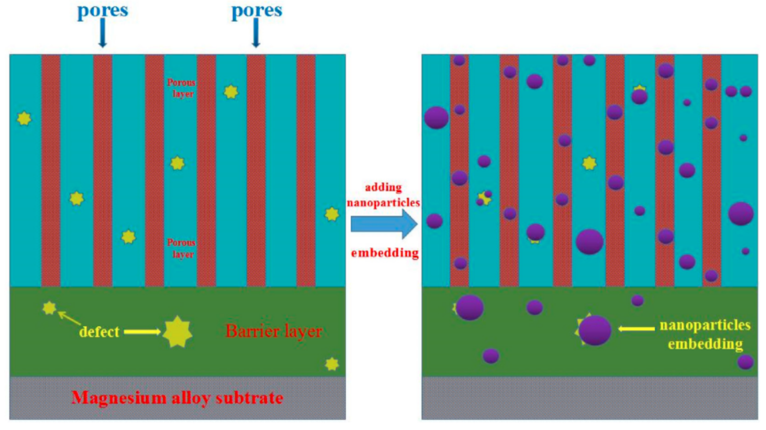Coatings 13 01533 g020