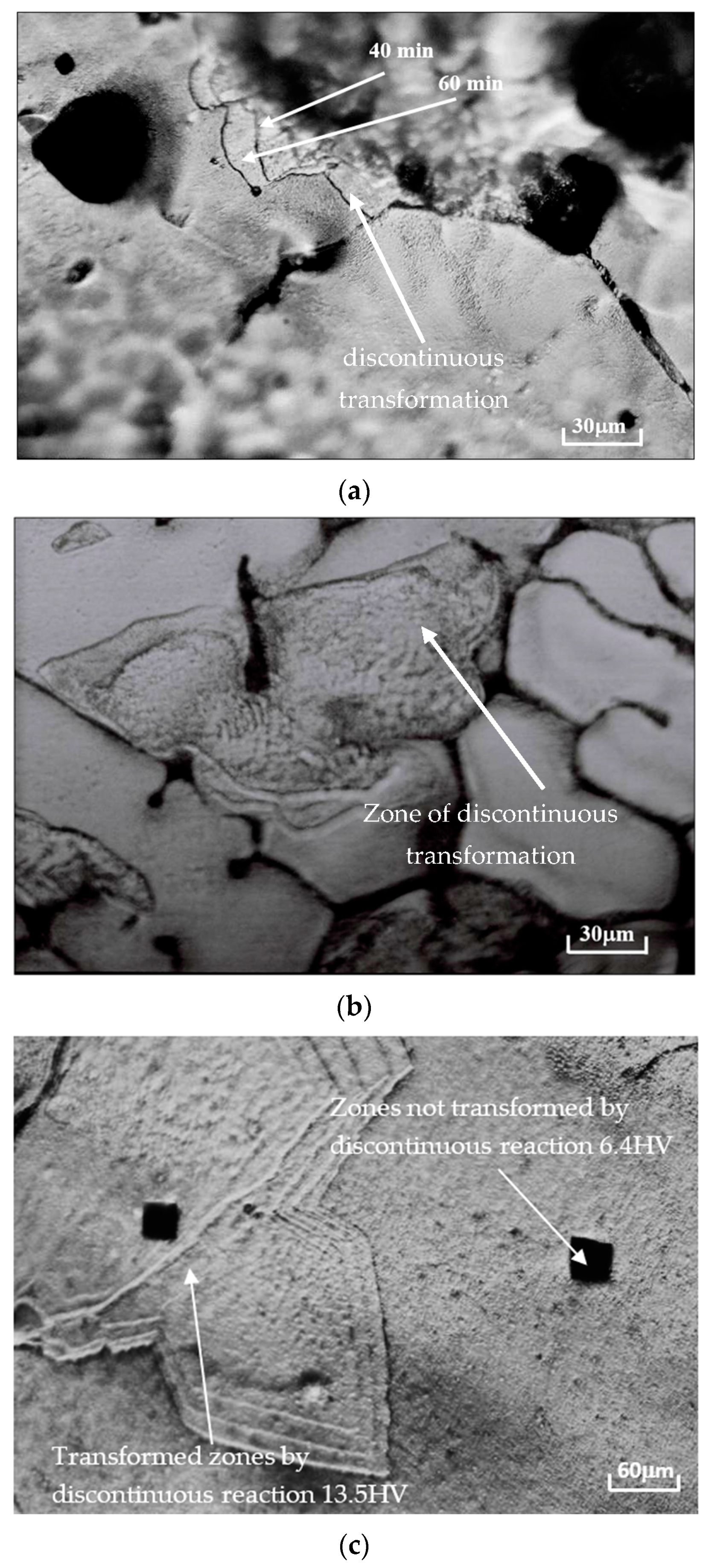 Coatings 13 01534 g003