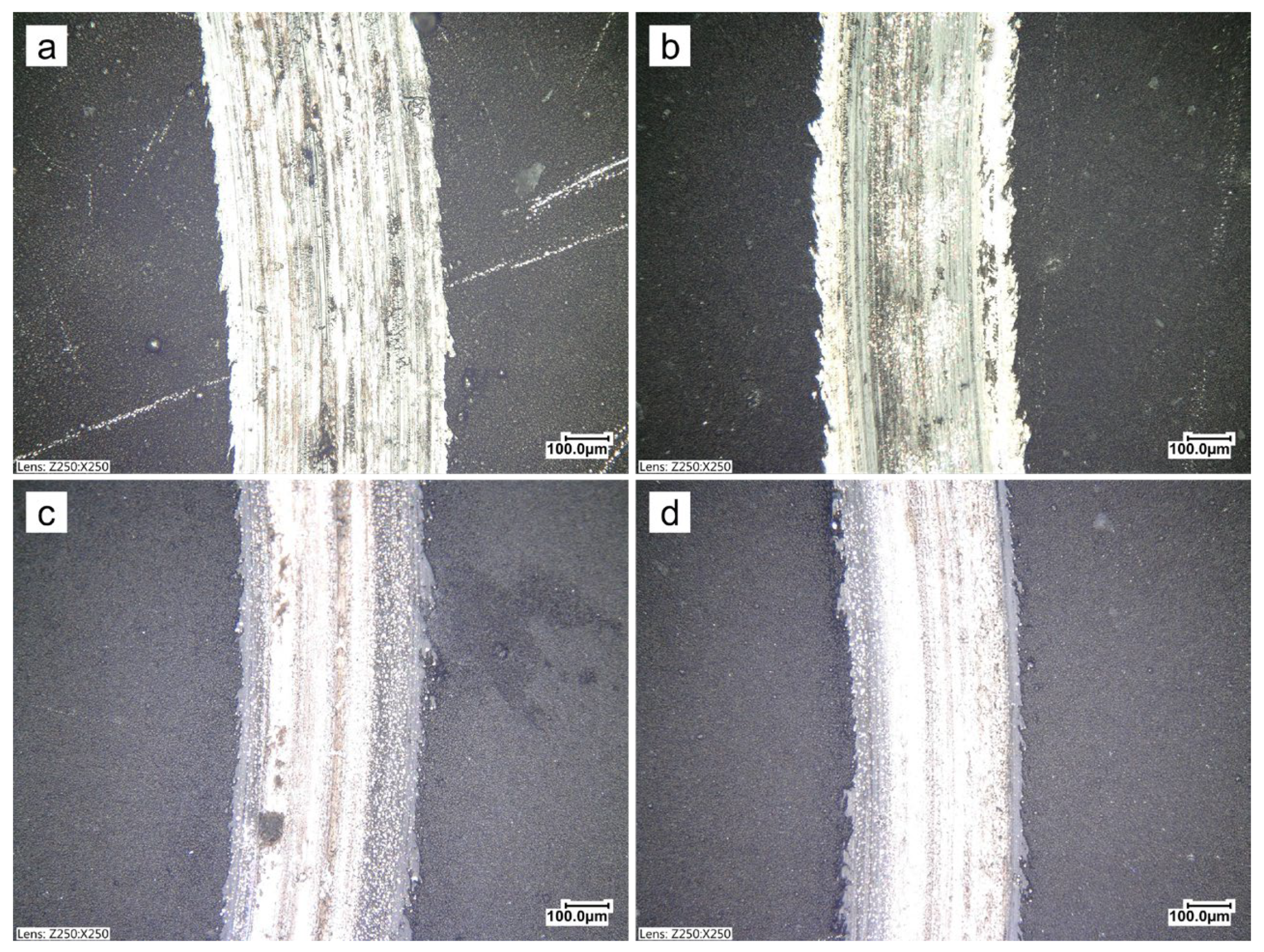 Coatings 13 01535 g009