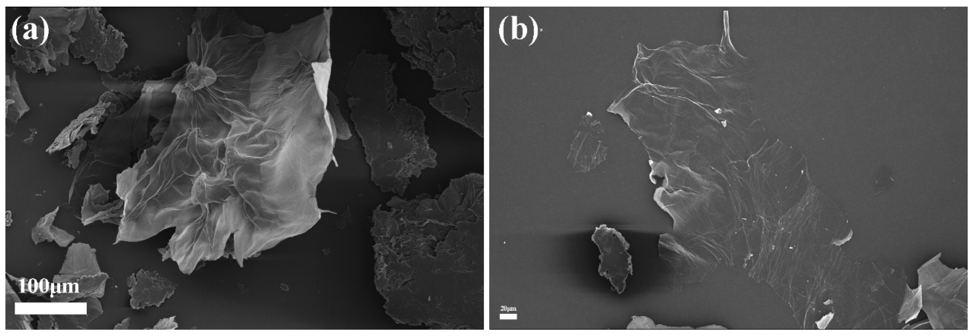 Coatings 13 01536 g003