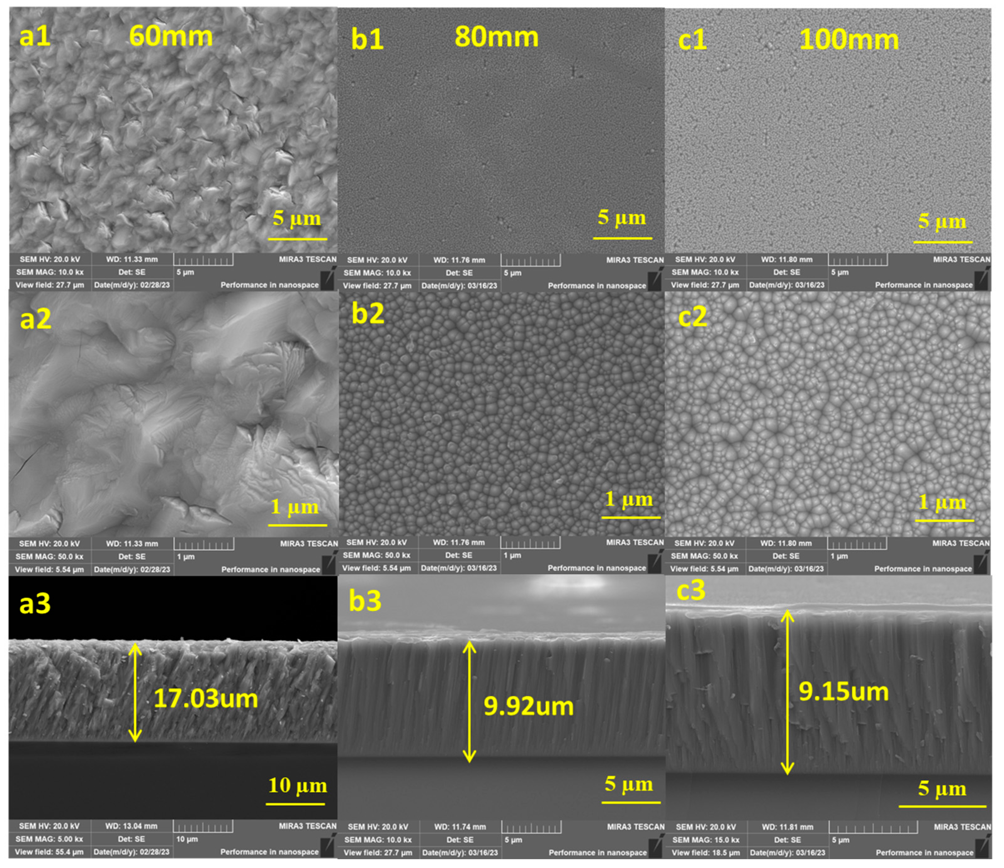 Coatings 13 01538 g007