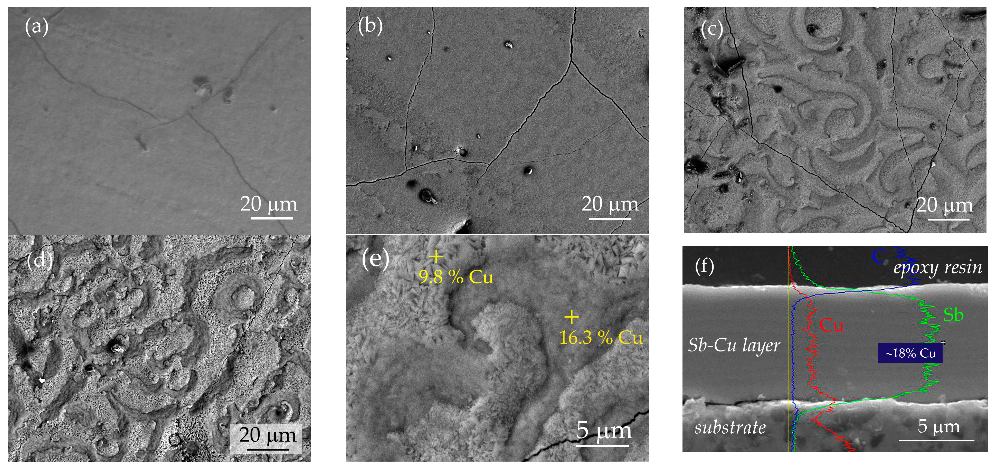 Coatings 13 01540 g003