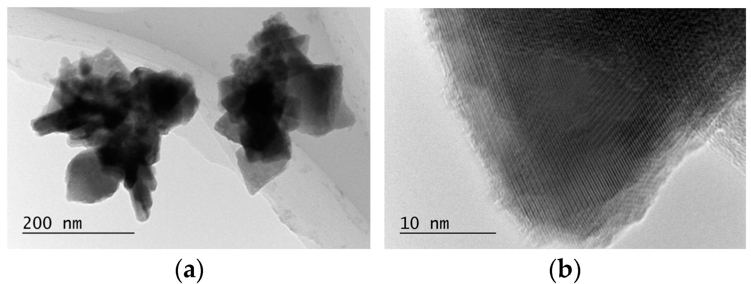Coatings 13 01540 g005