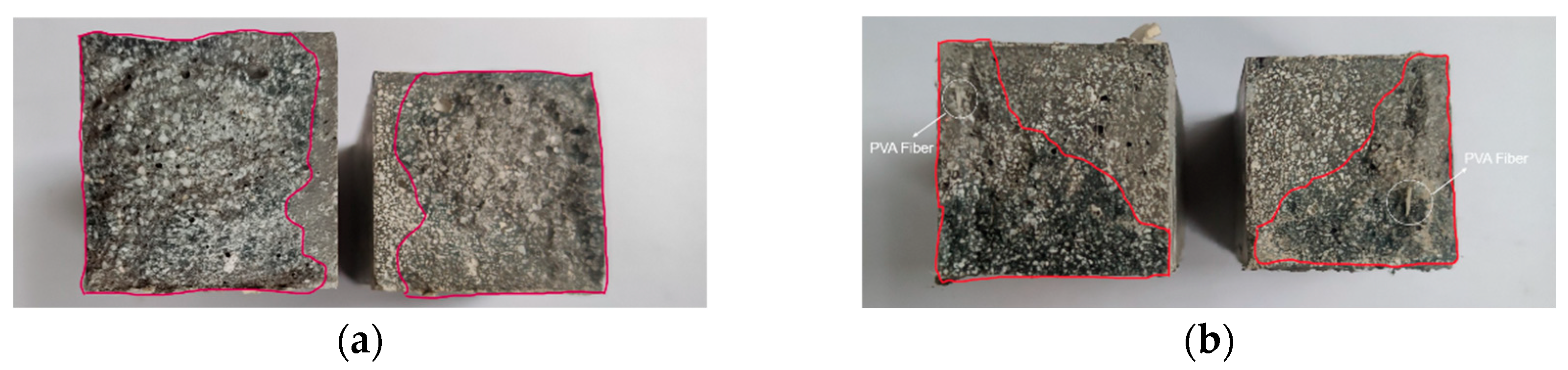 Coatings 13 01542 g006a