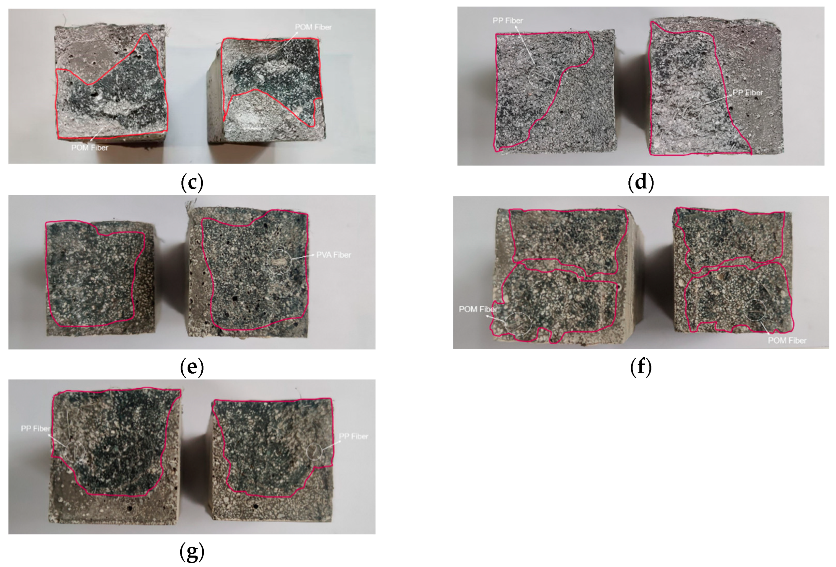 Coatings 13 01542 g006b