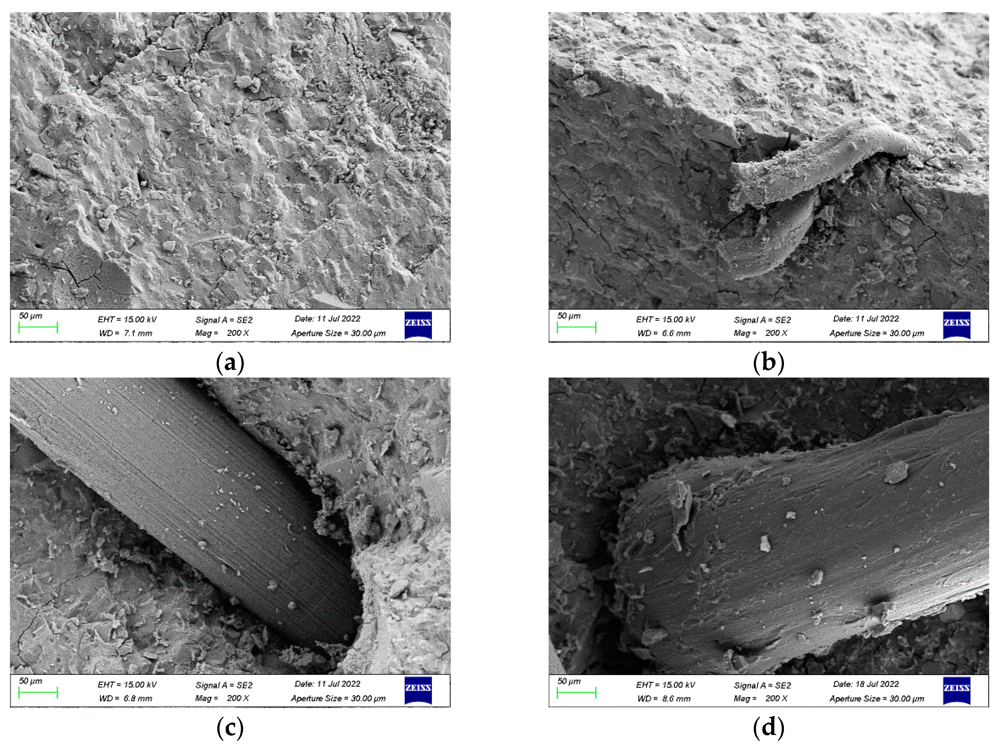 Coatings 13 01542 g008