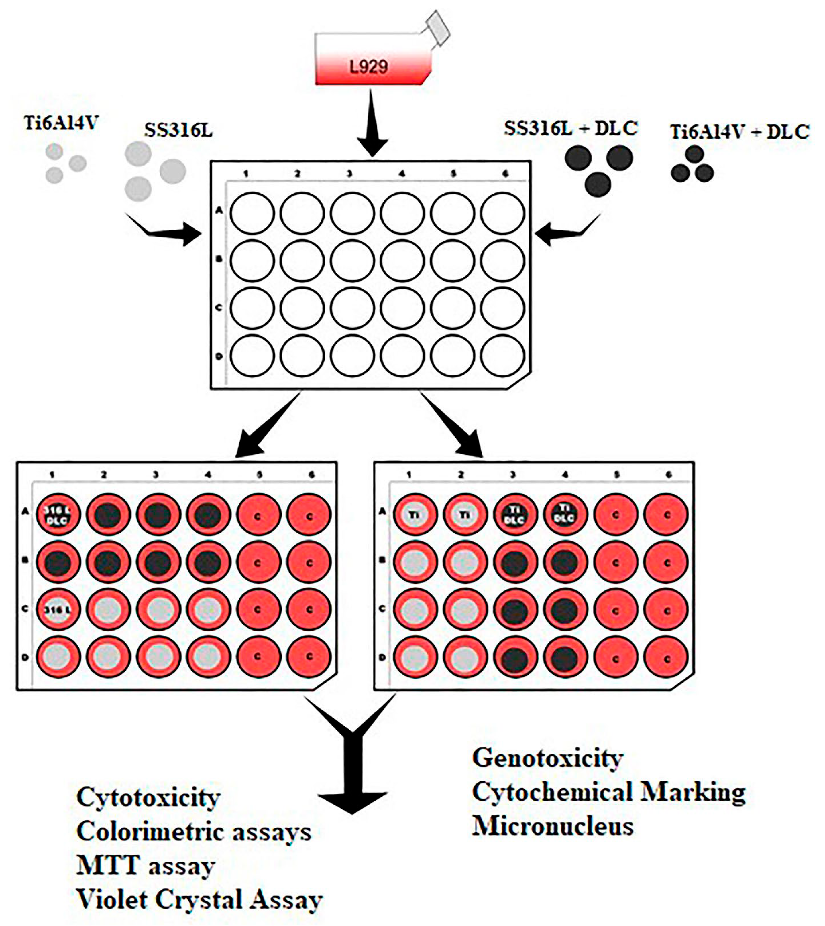 Coatings 13 01549 g002