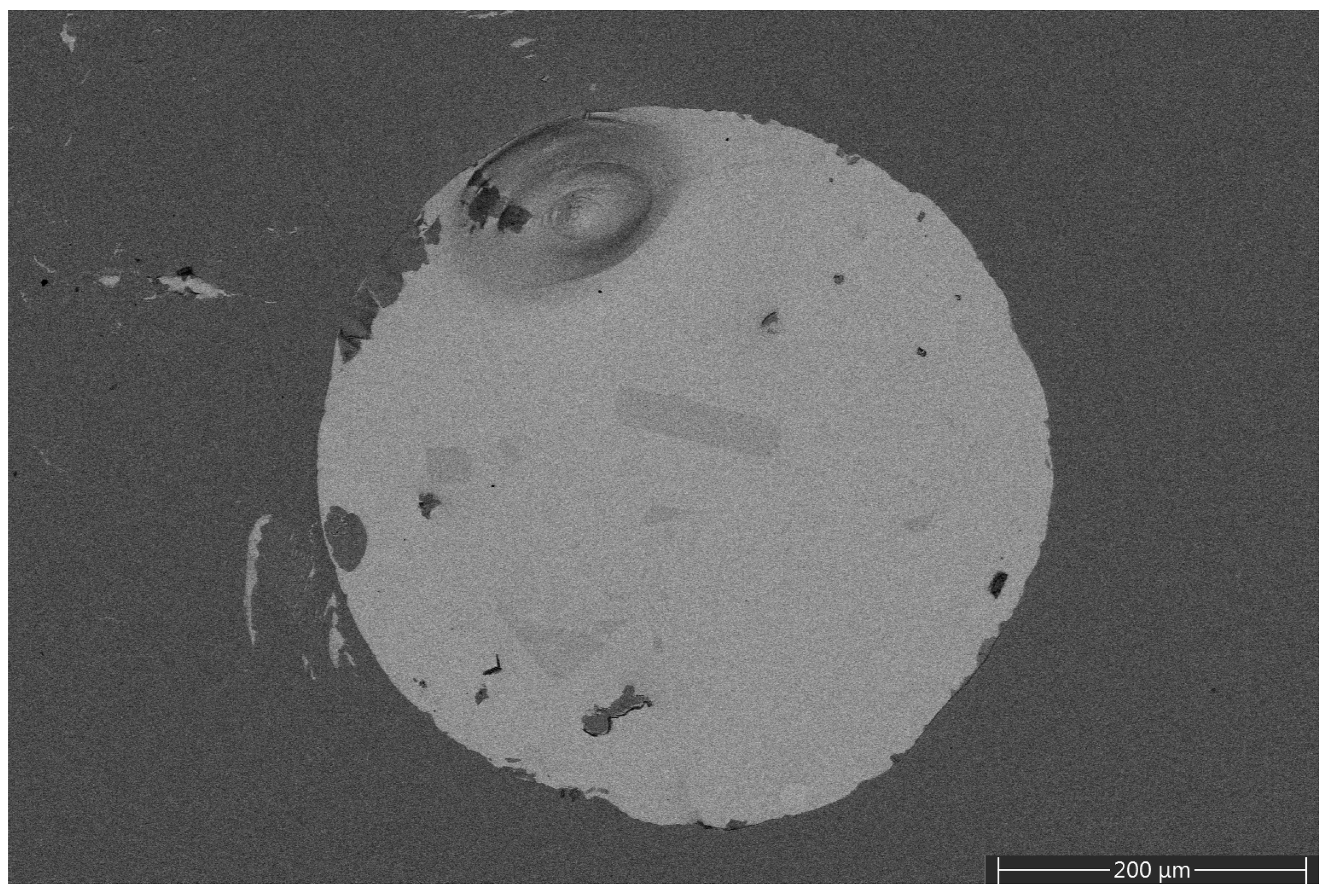 Coatings 13 01550 g005