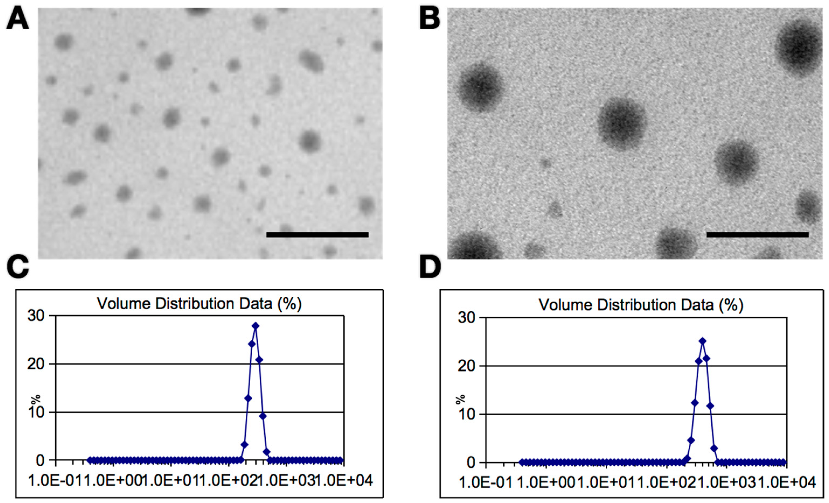 Coatings 13 01552 g002 Coatings 13 01552 g002