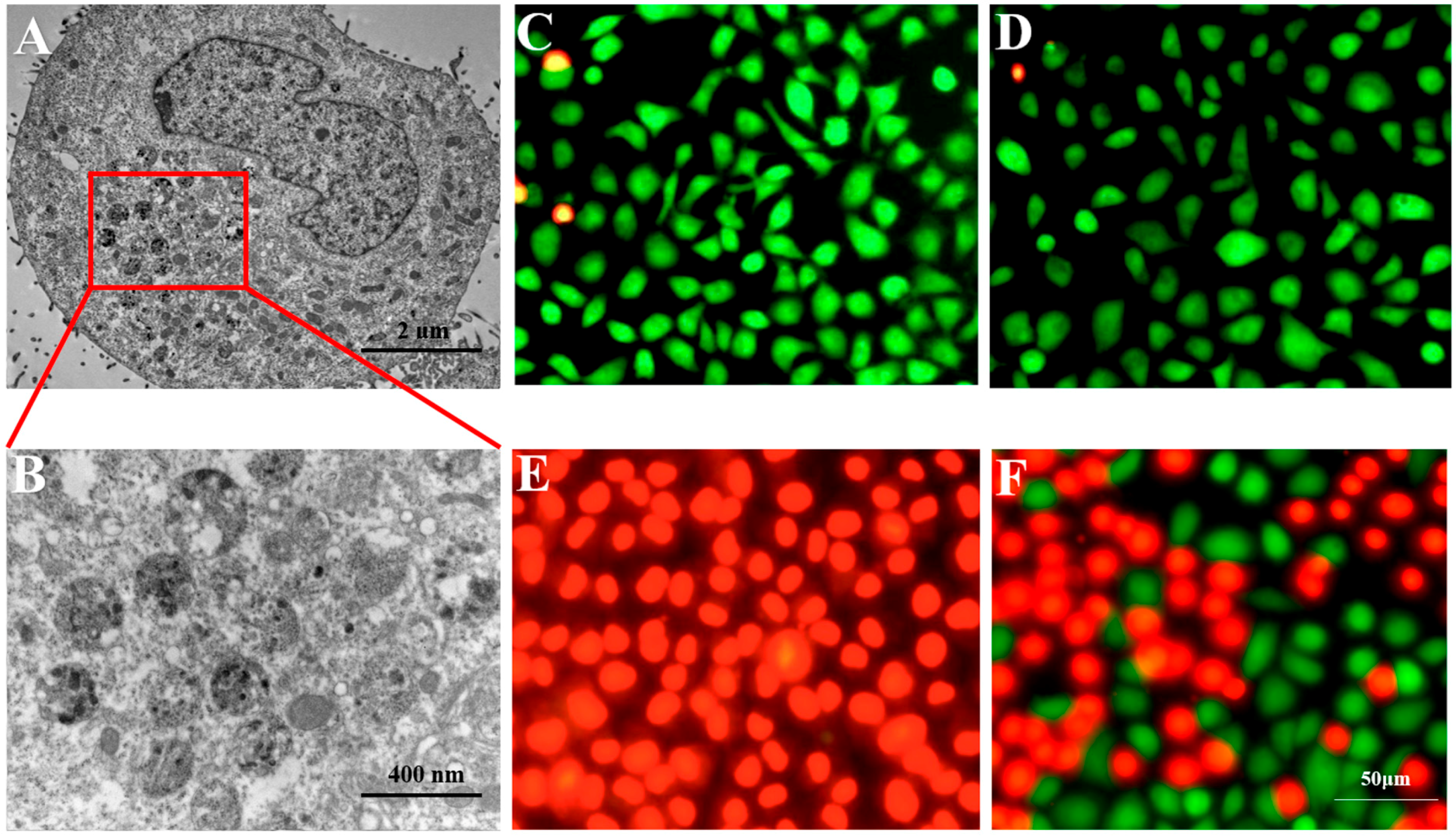 Coatings 13 01552 g004 Coatings 13 01552 g004