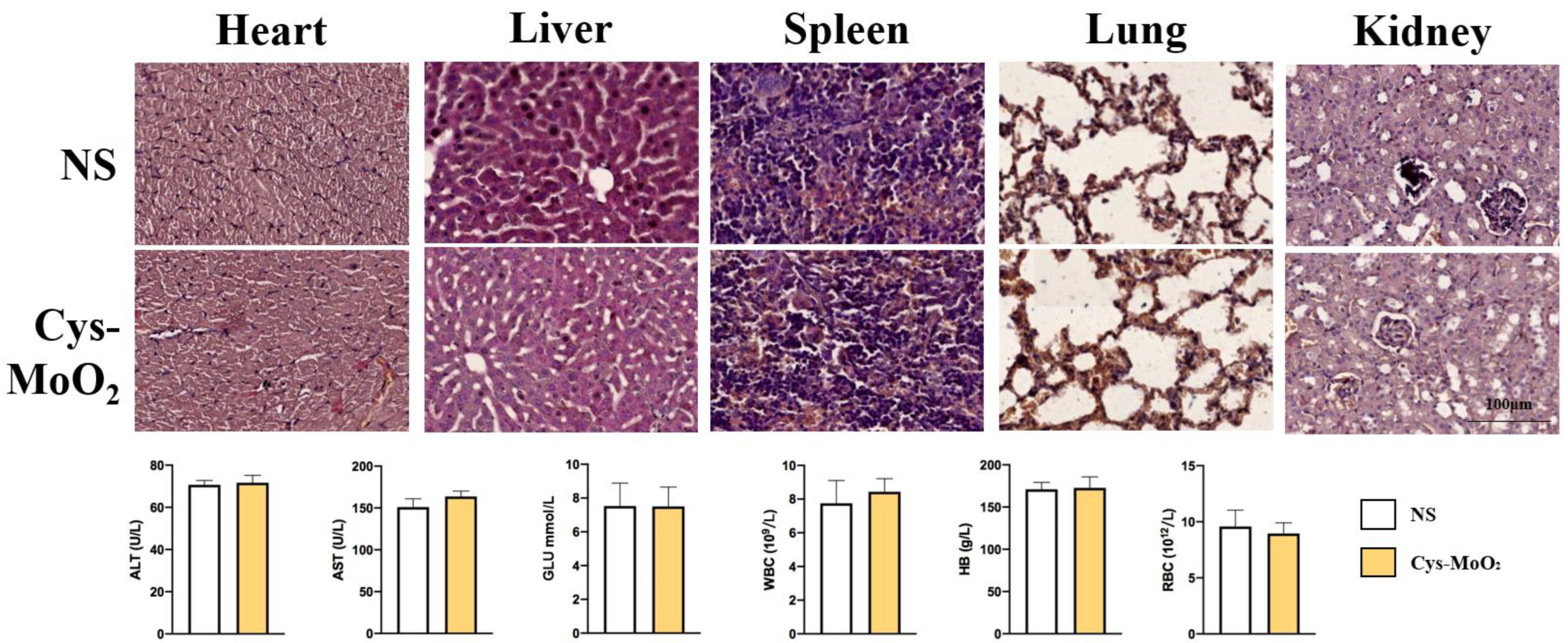 Coatings 13 01552 g005 Coatings 13 01552 g005