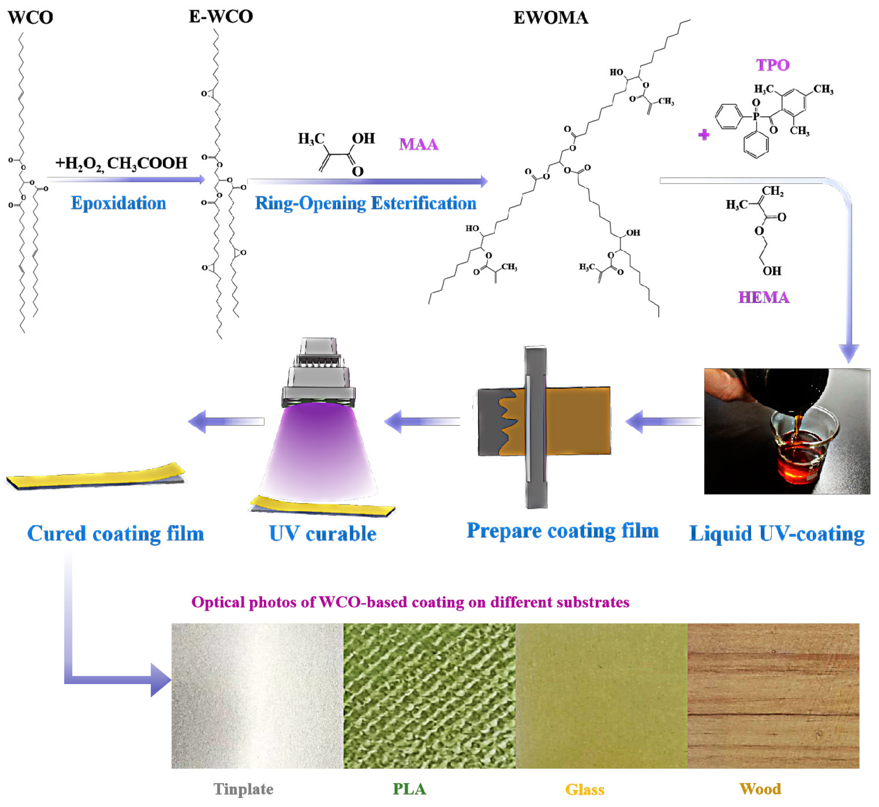 Coatings 13 01553 g001