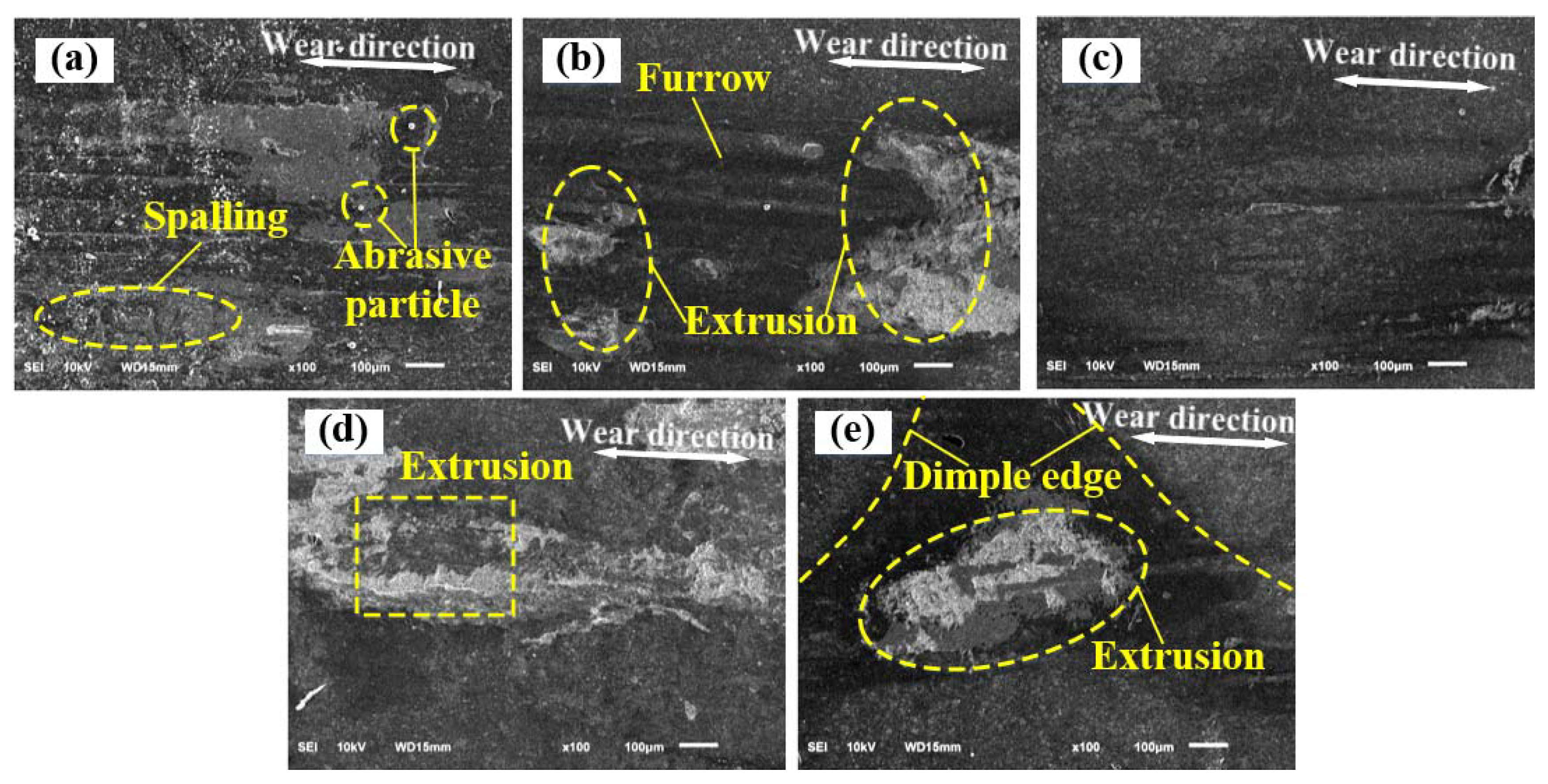 Coatings 13 01554 g013