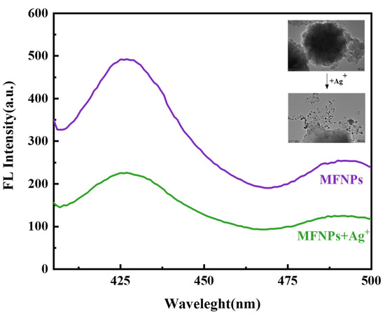 A Novel Magnetic Fluorescent Fe3O4@ZnS@MPS Nanosensor for