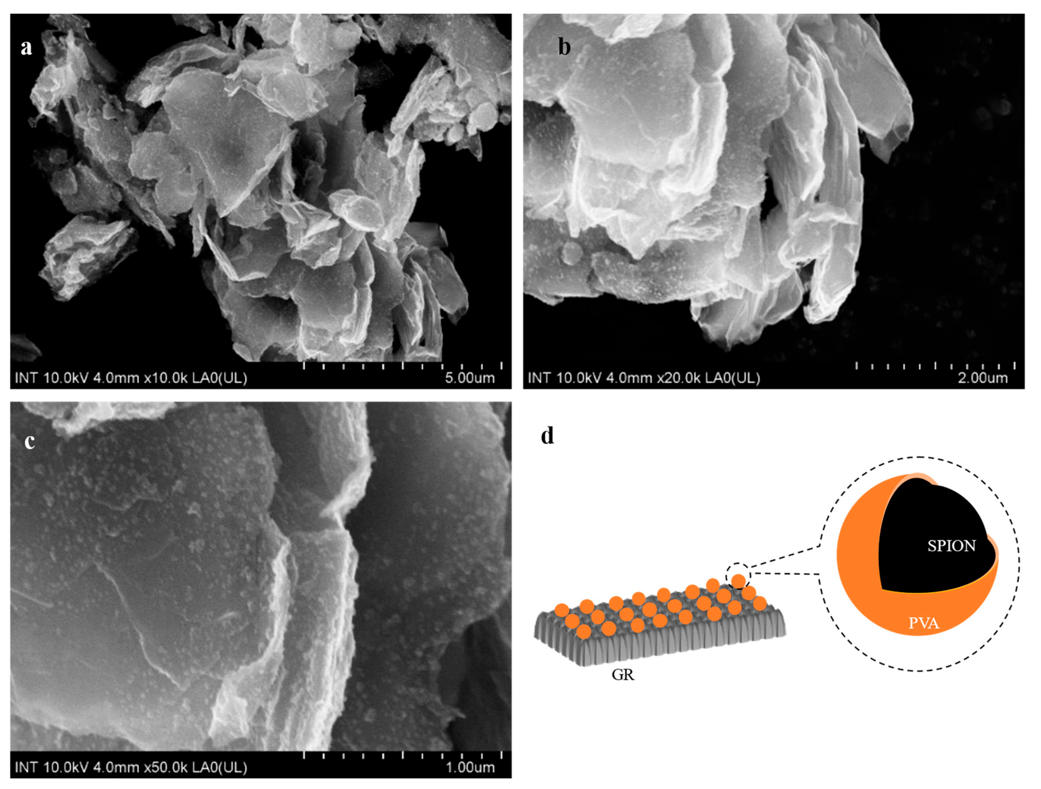Coatings 13 01558 g002