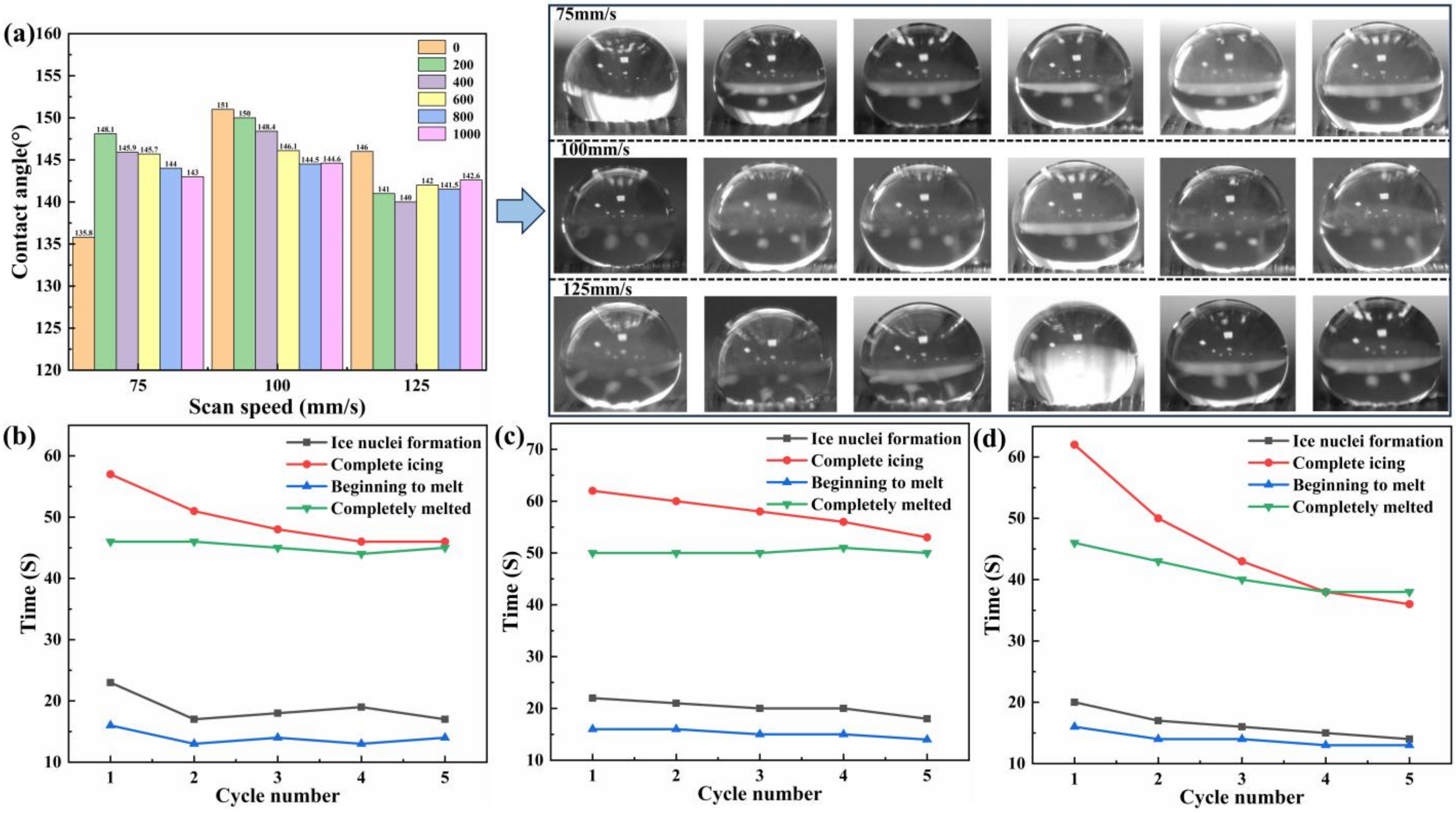 Coatings 13 01559 g004
