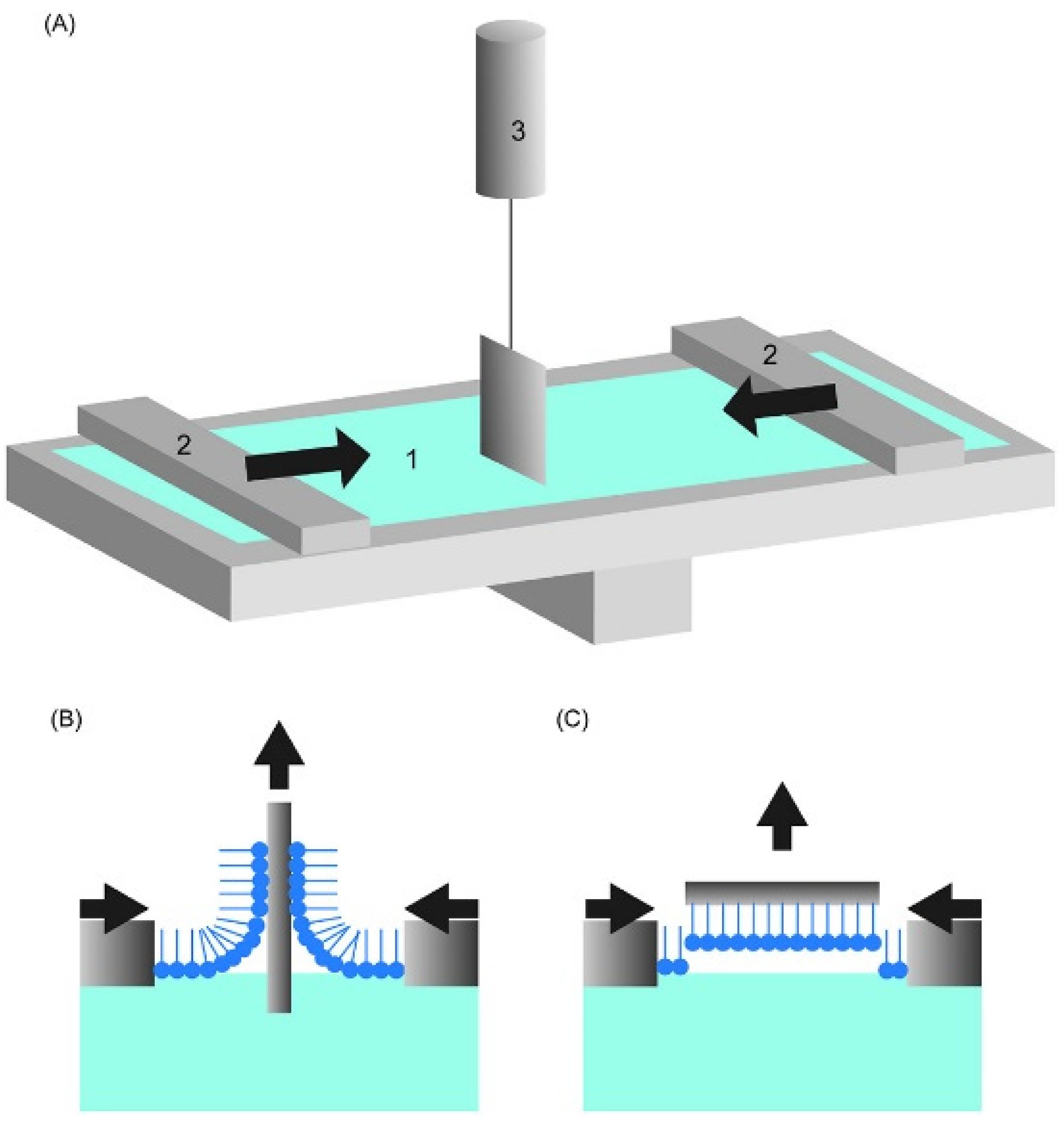 Coatings 13 01560 g001 Coatings 13 01560 g001