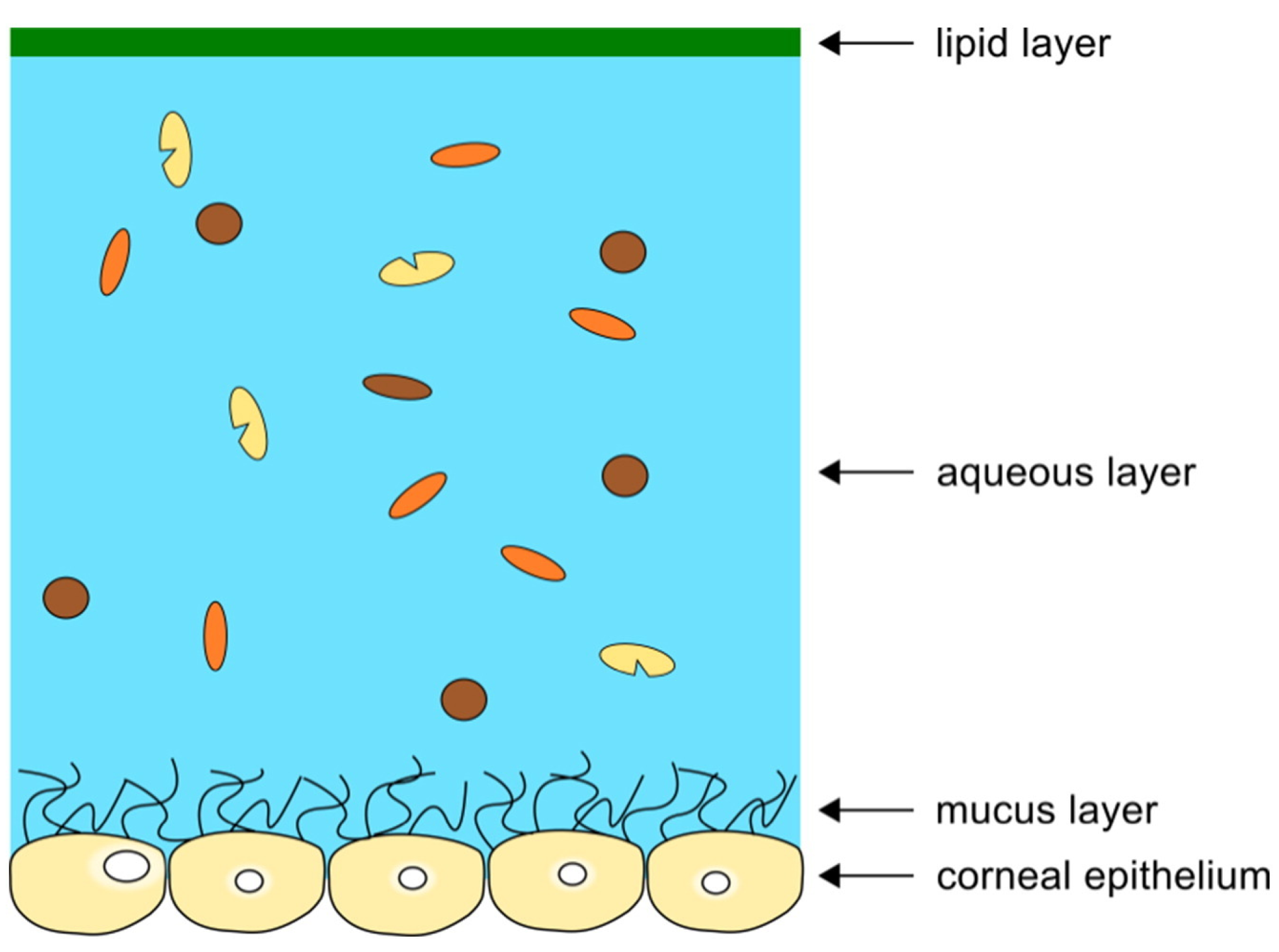 Coatings 13 01560 g002 Coatings 13 01560 g002