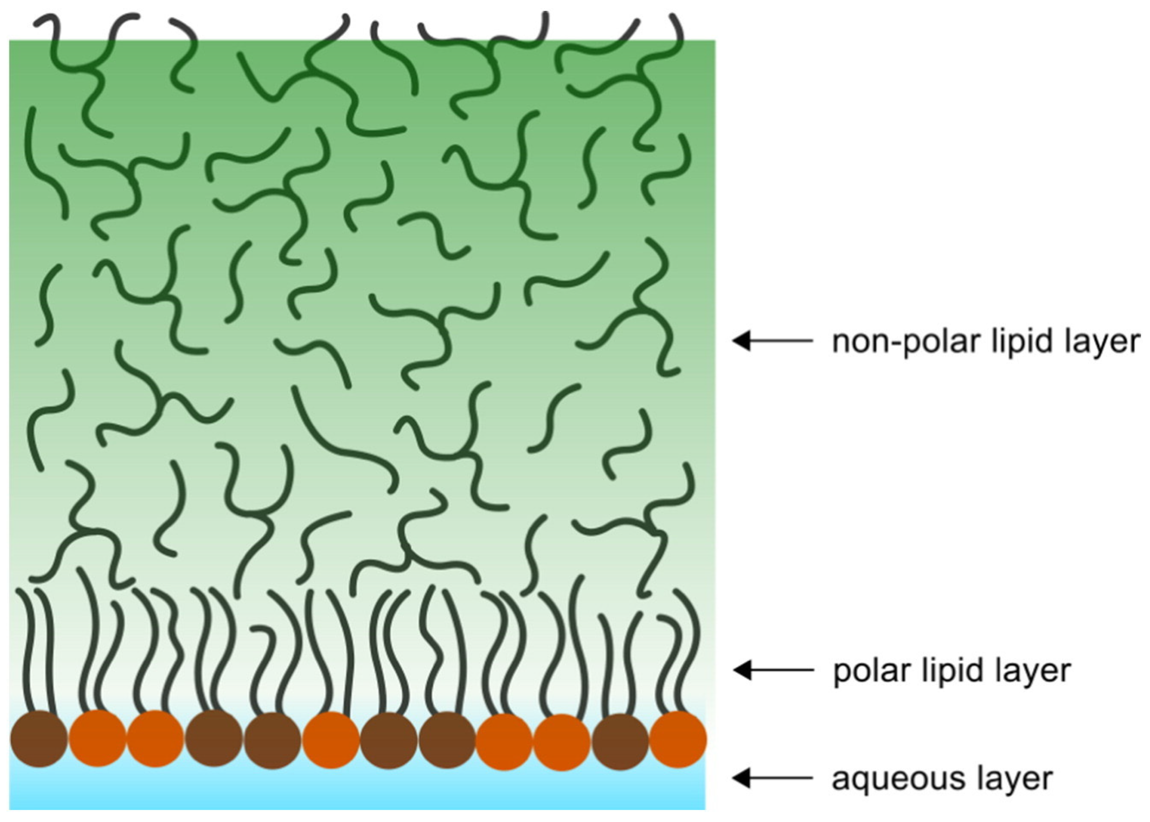 Coatings 13 01560 g003 Coatings 13 01560 g003