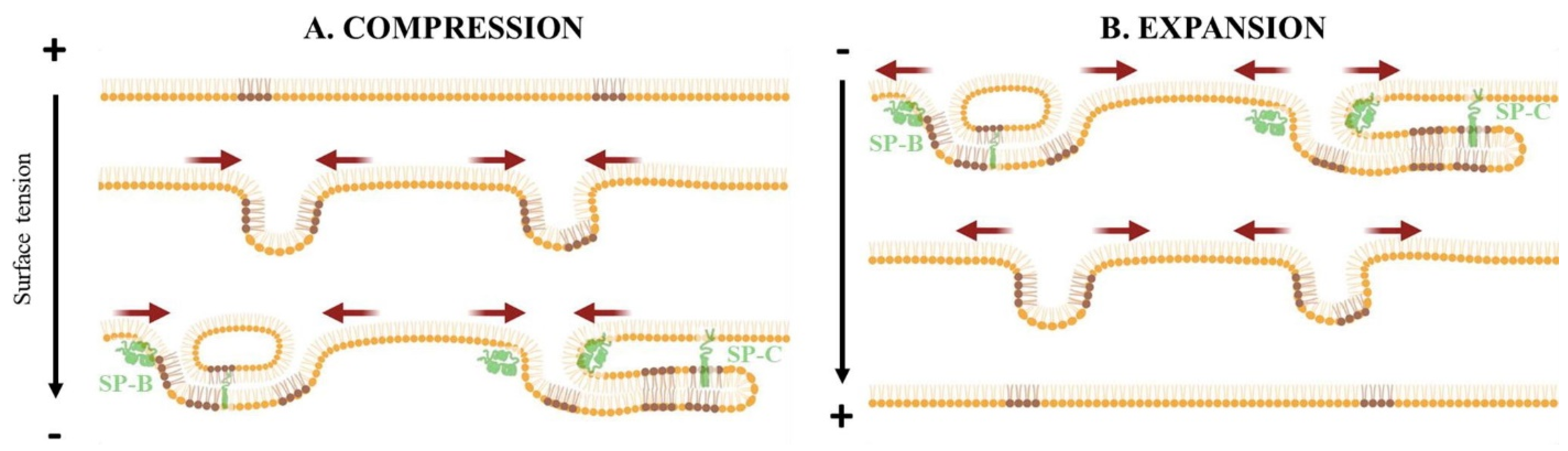 Coatings 13 01560 g007 Coatings 13 01560 g007