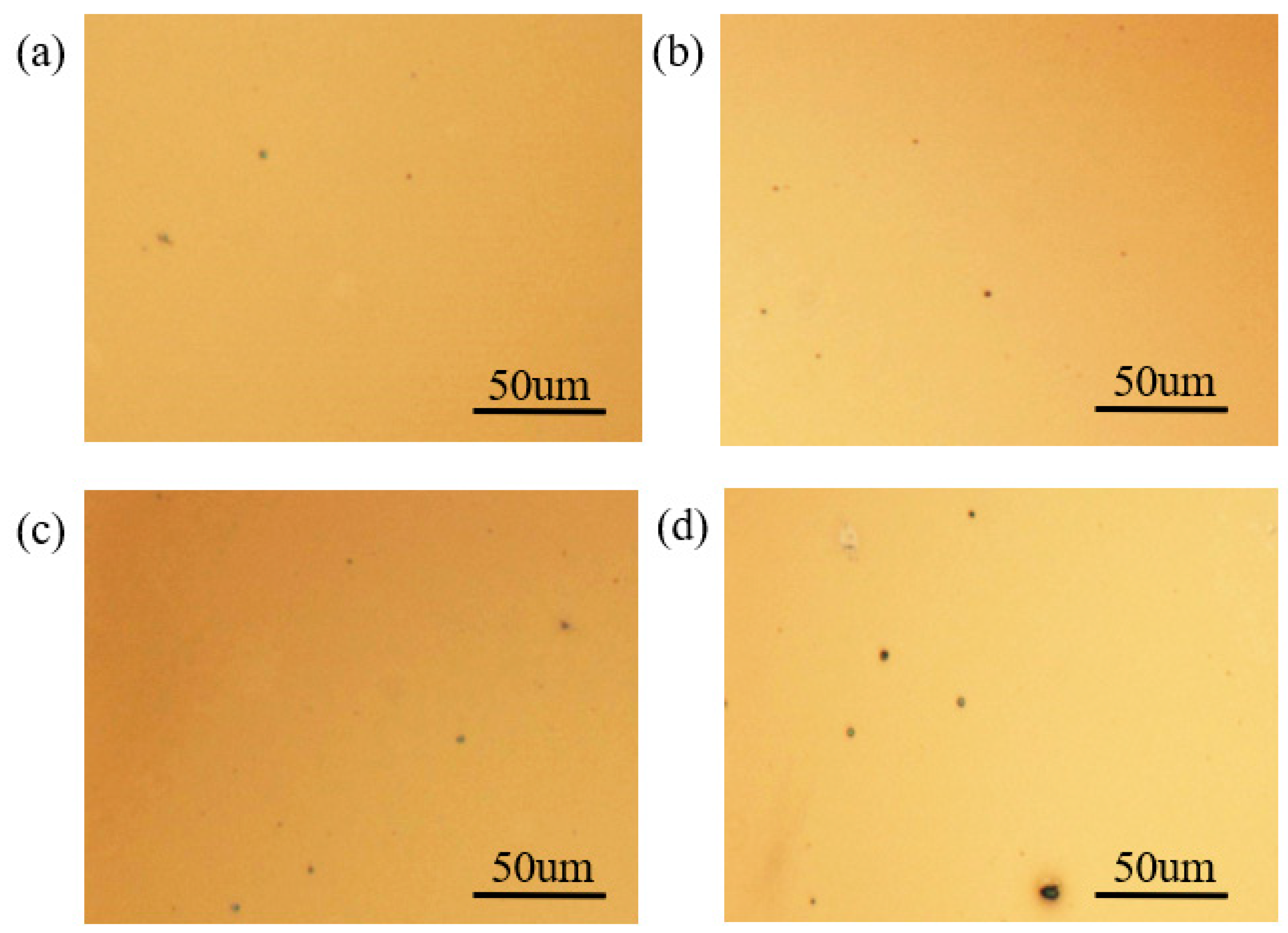 Coatings 13 01561 g002