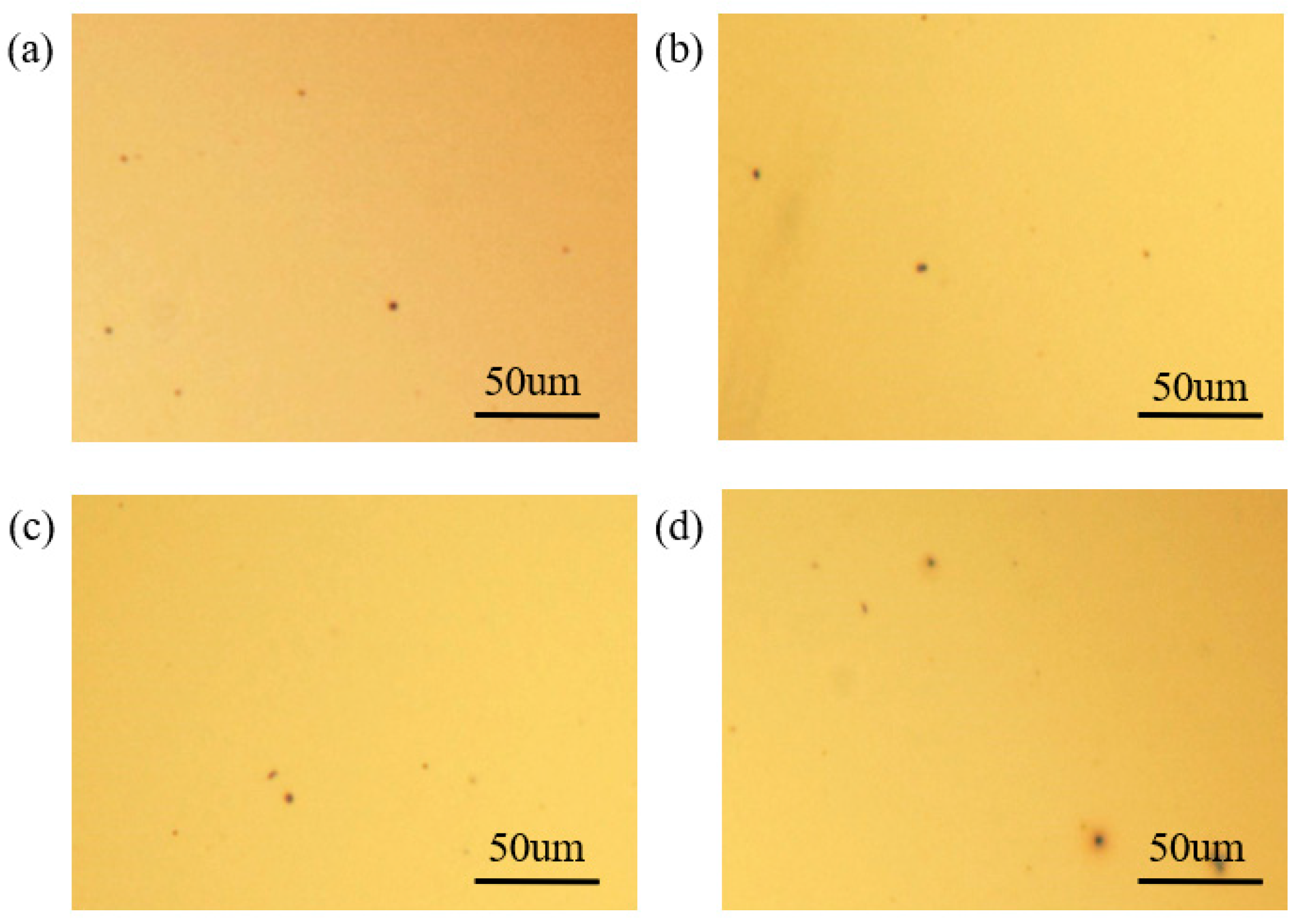 Coatings 13 01561 g006