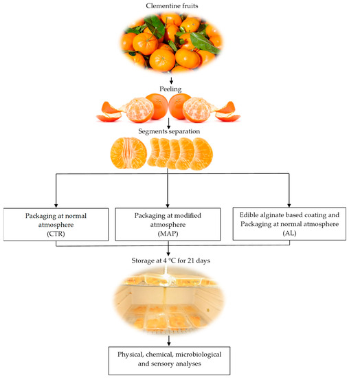 Coatings Free FullText Quality Evaluation of ReadytoEat Coated
