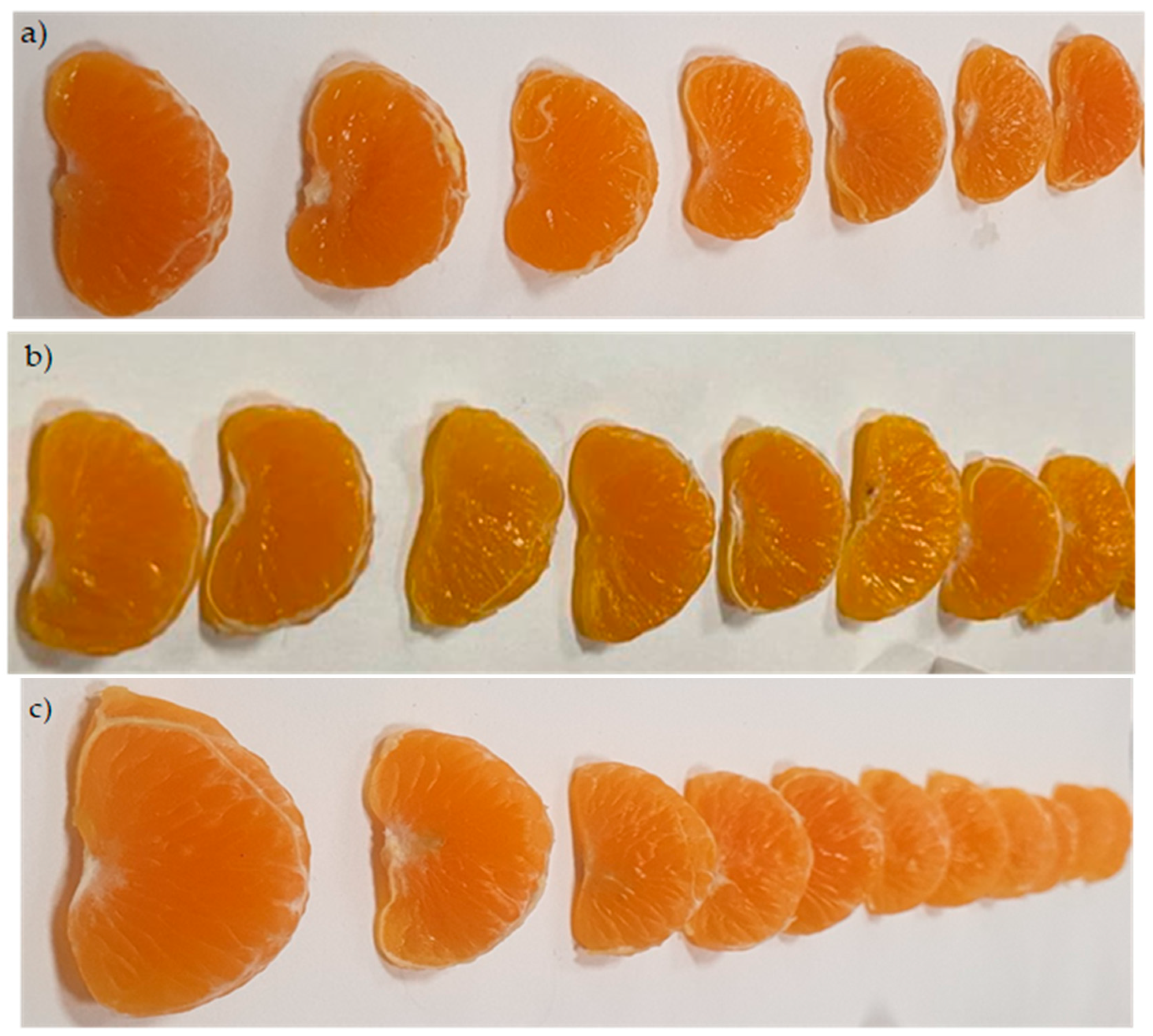 Coatings 13 01562 g005