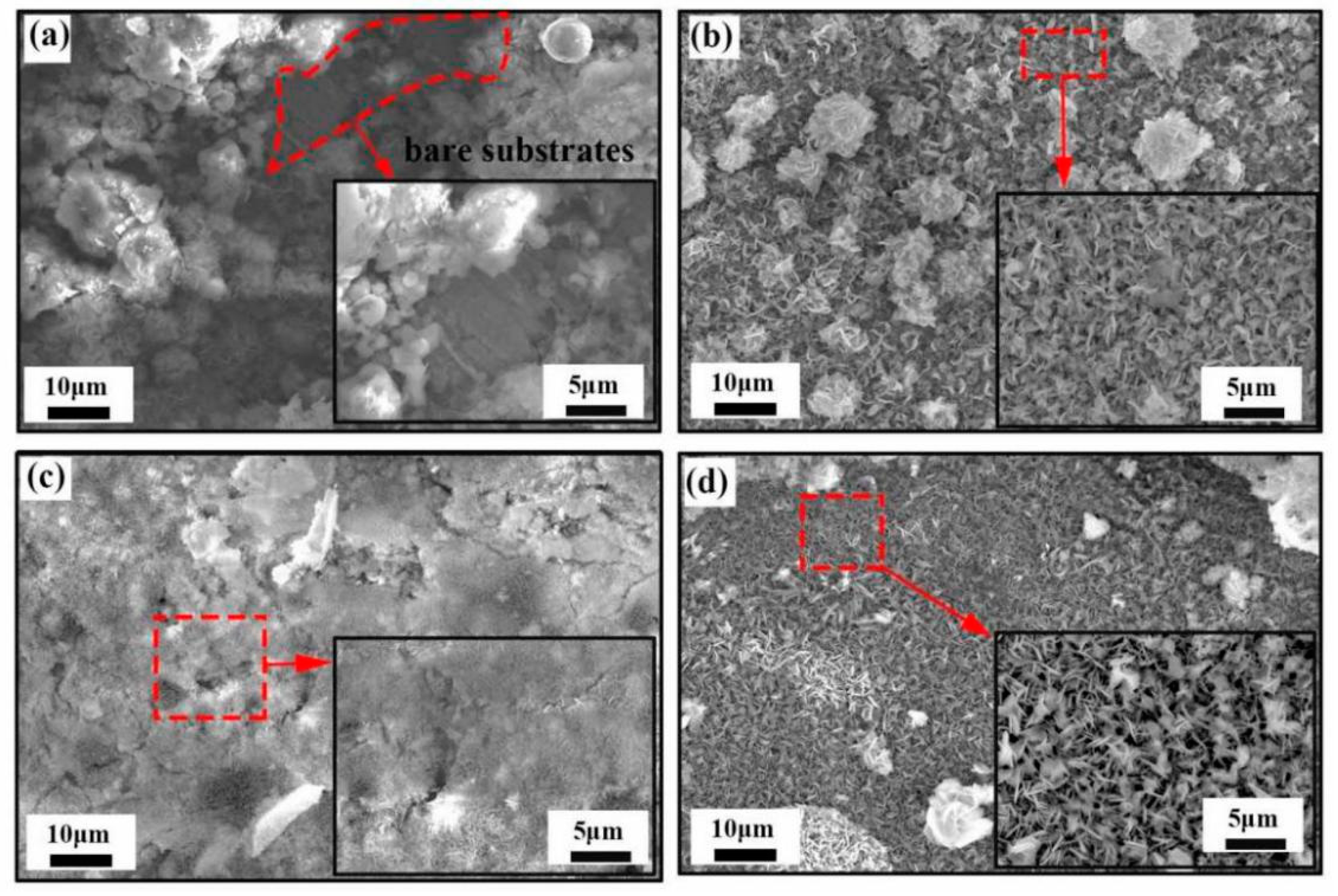 Coatings 13 01570 g003