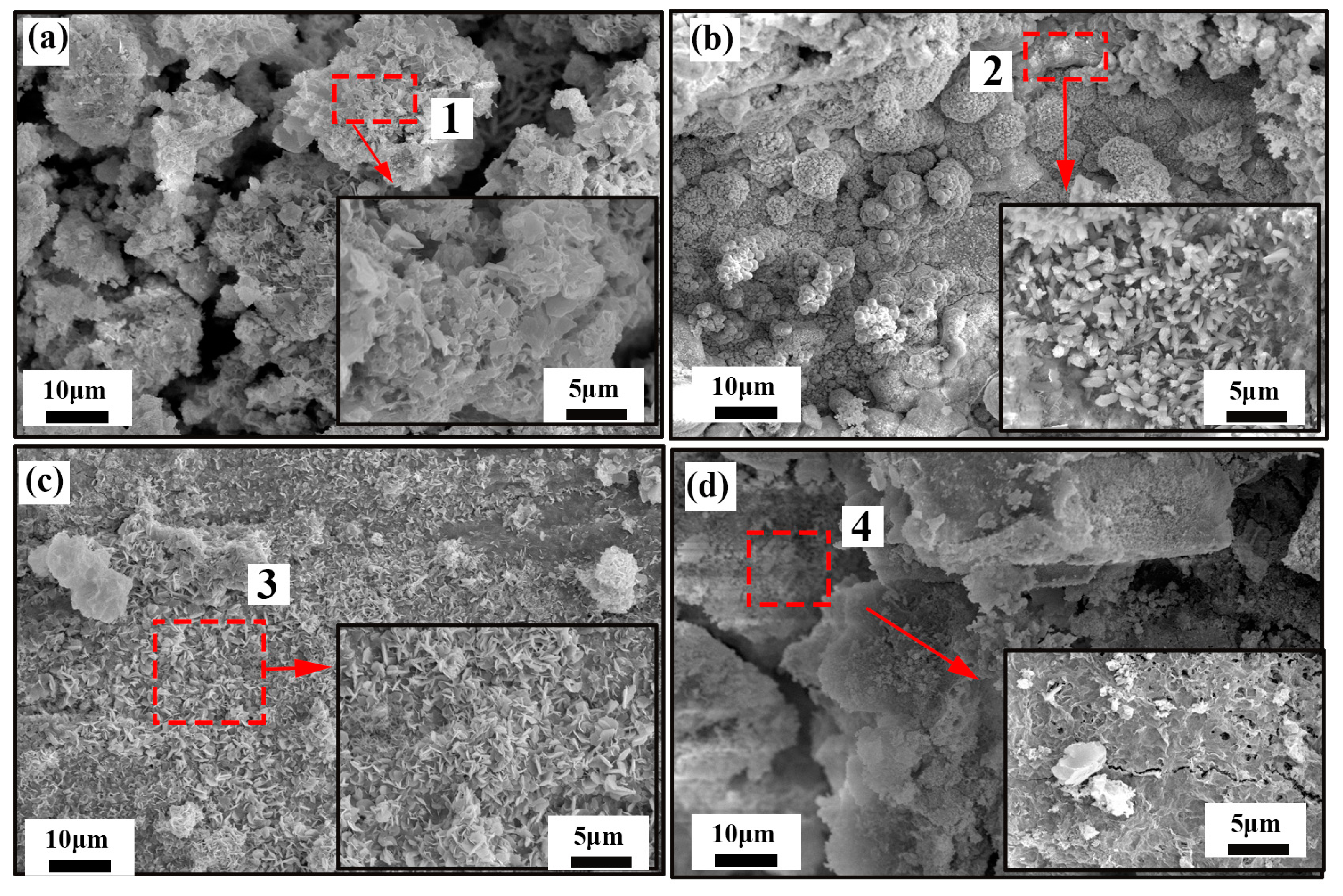 Coatings 13 01570 g004