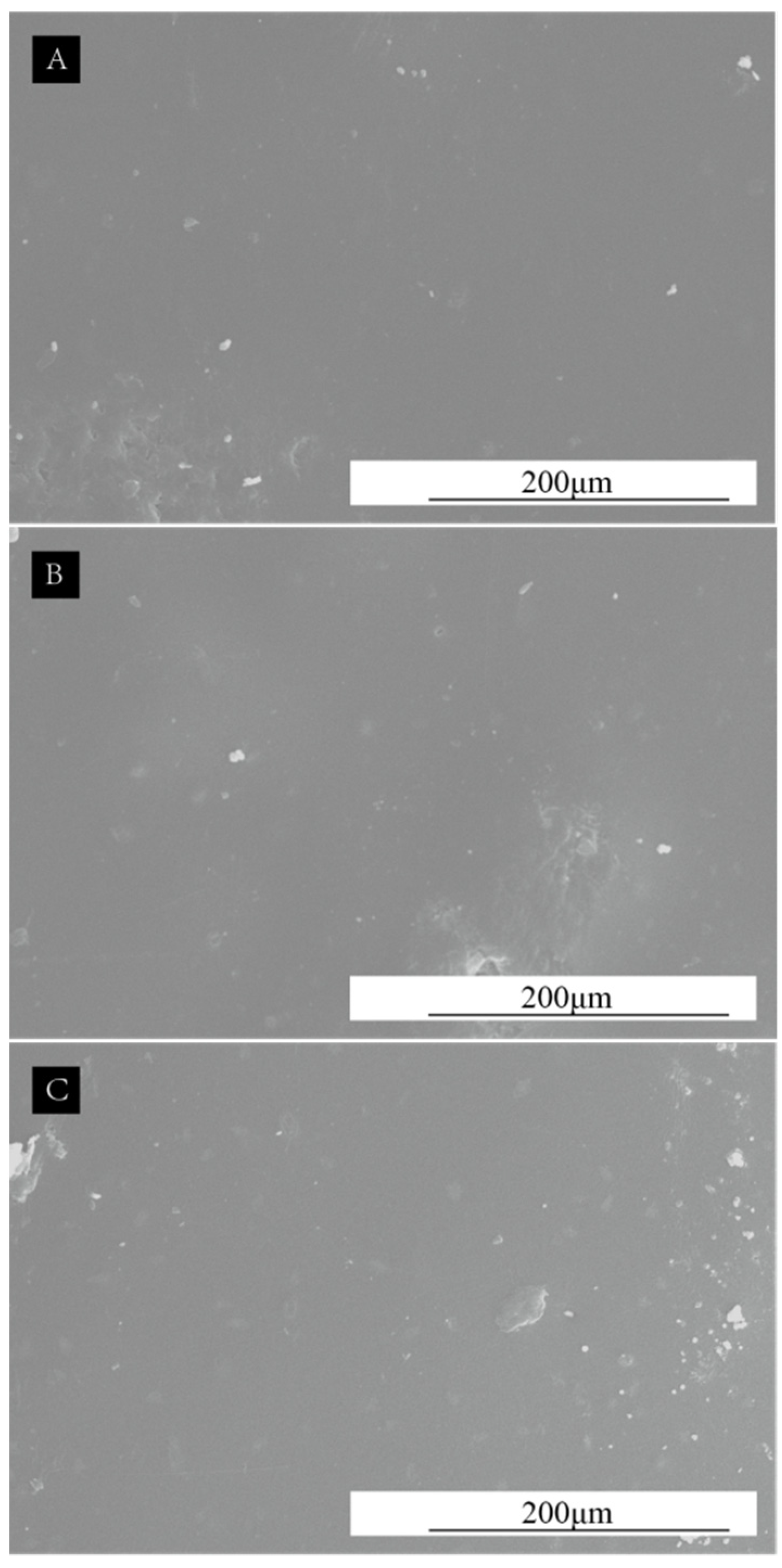 Coatings 13 01572 g006