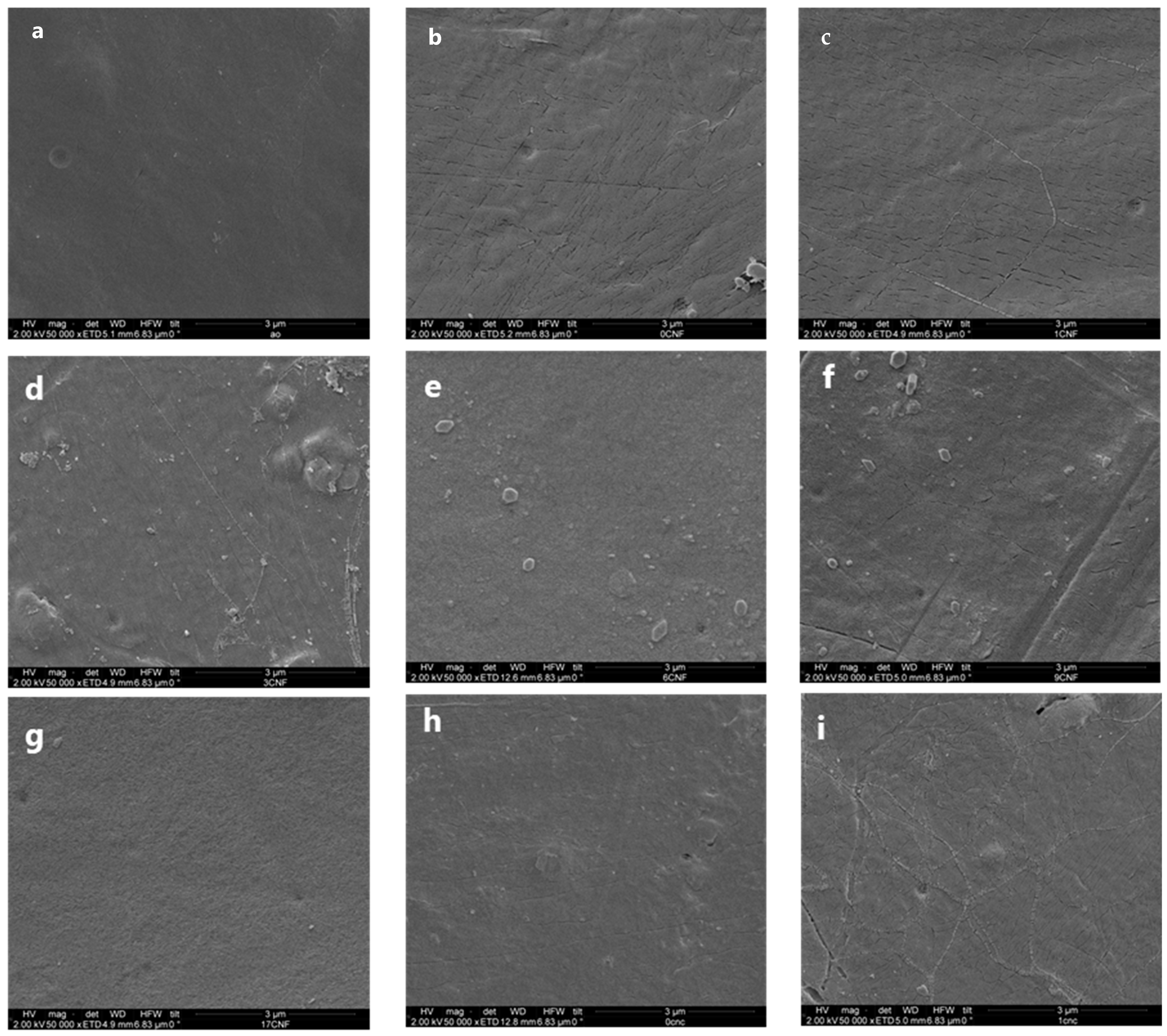Coatings 13 01573 g005a
