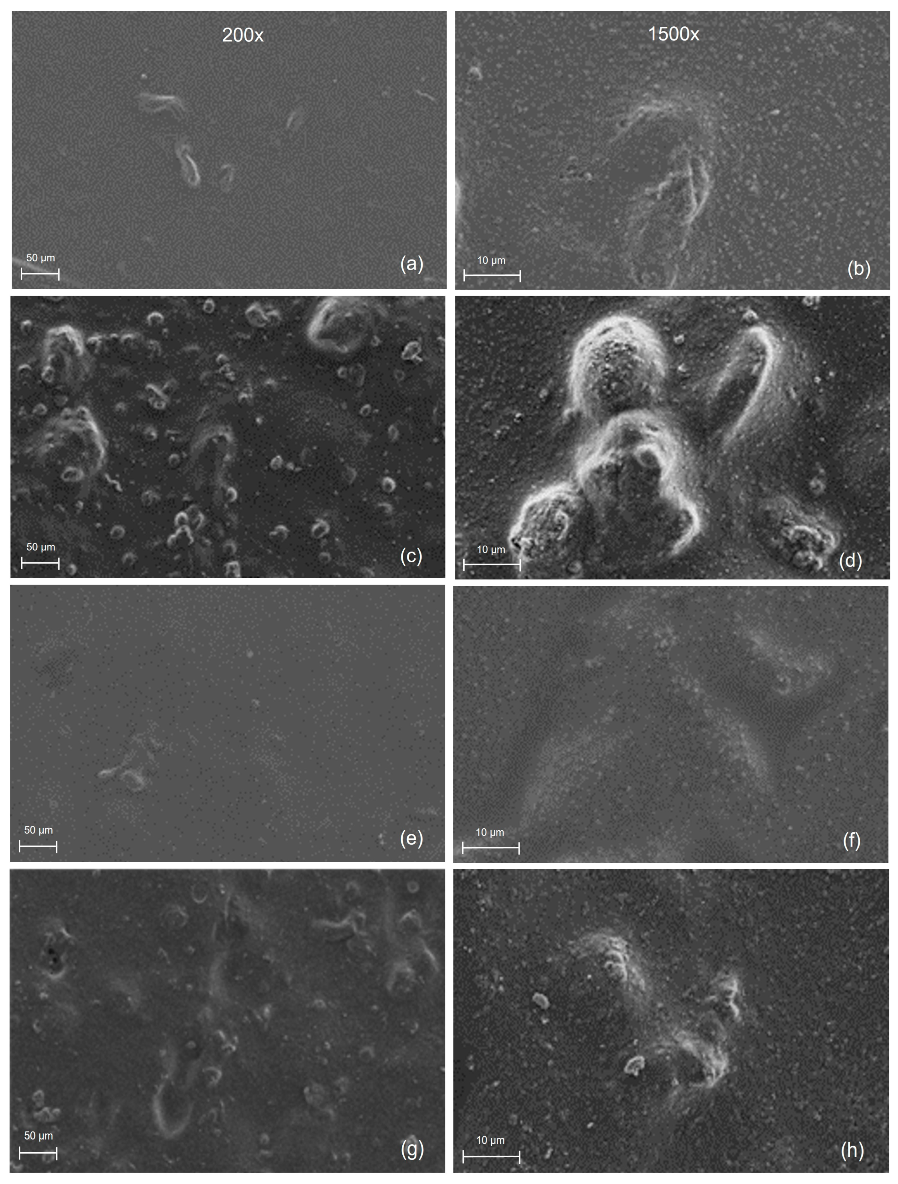 Coatings 13 01574 g007