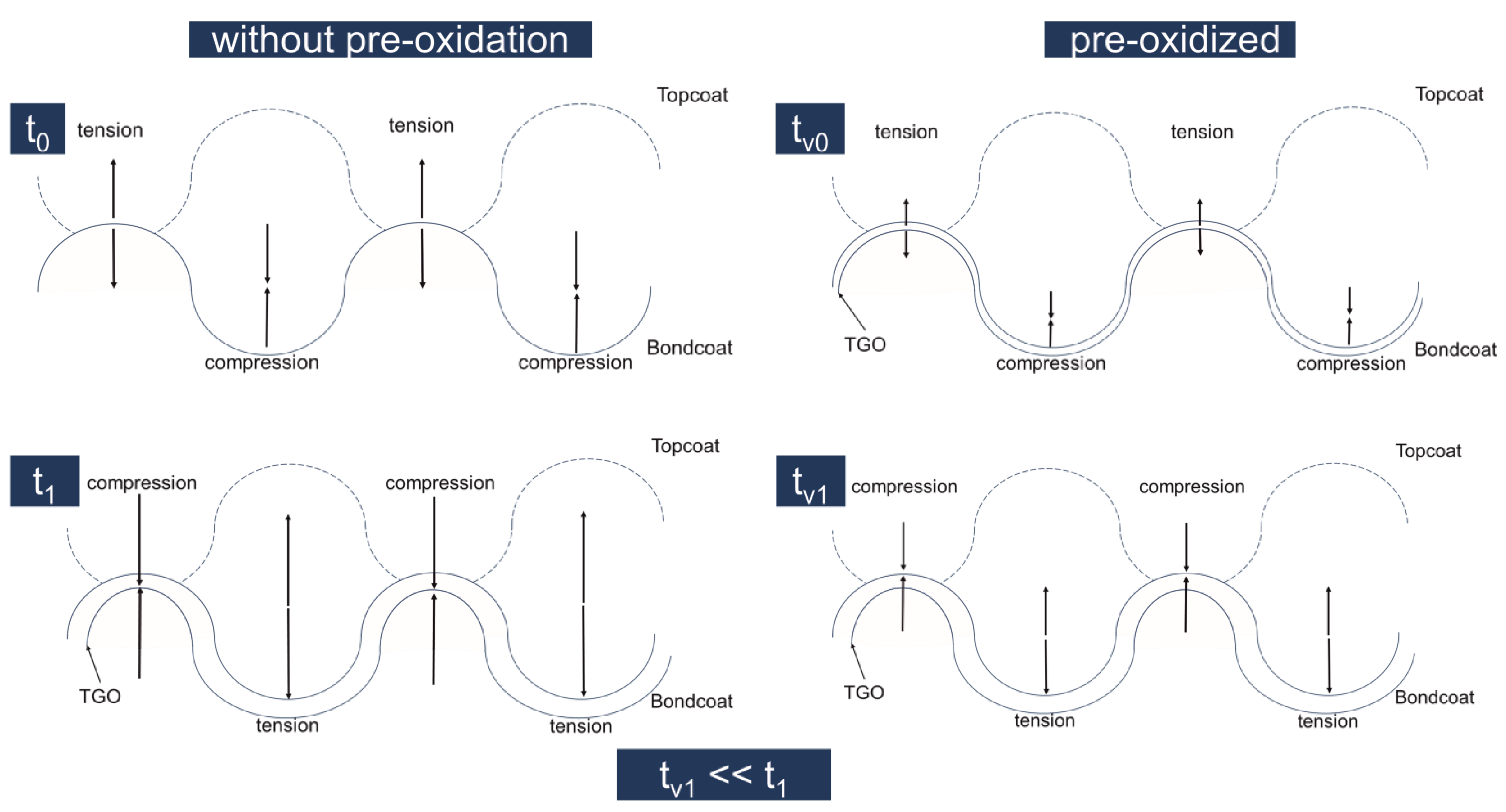 Coatings 13 01575 g001