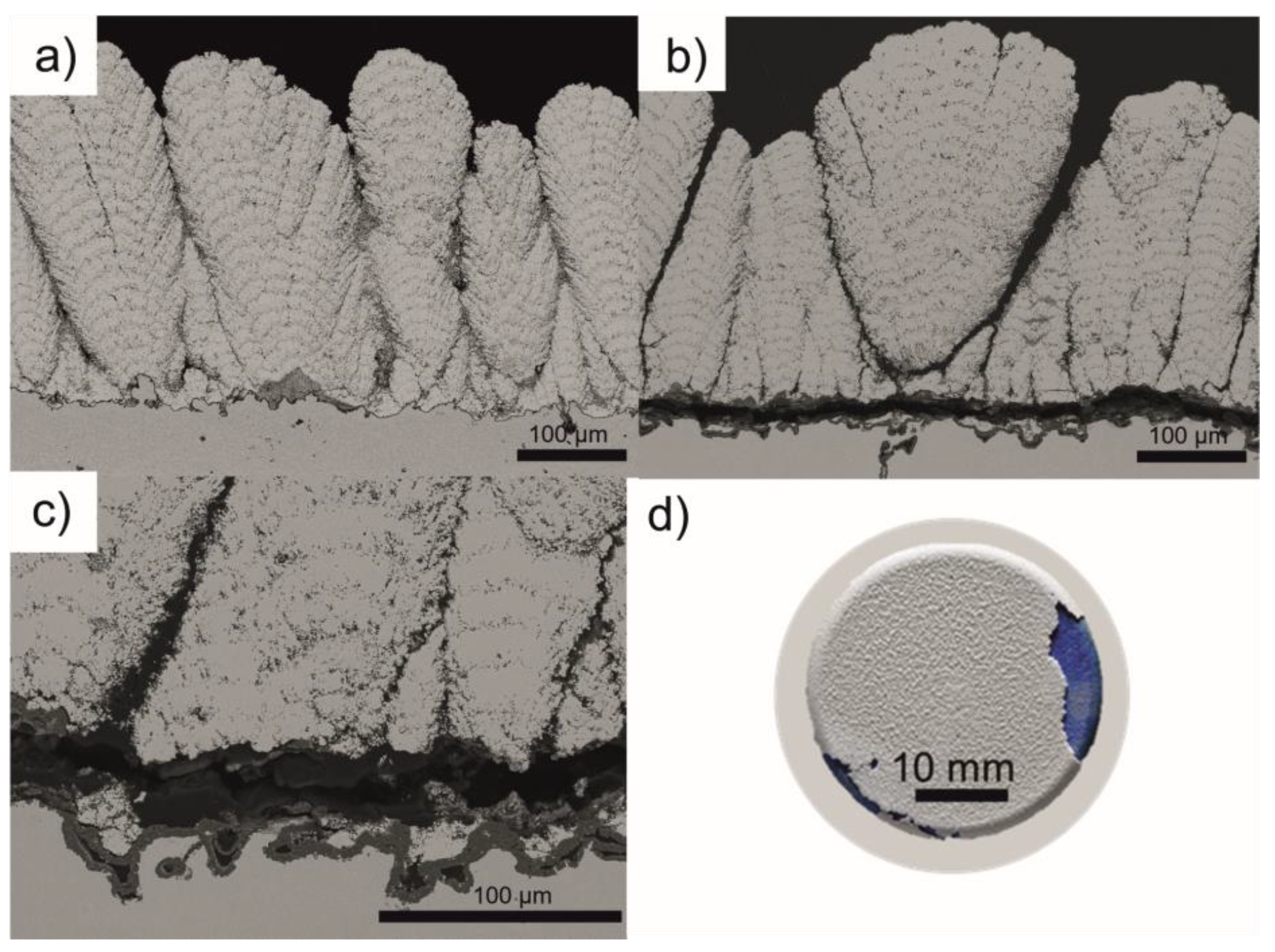 Coatings 13 01575 g006