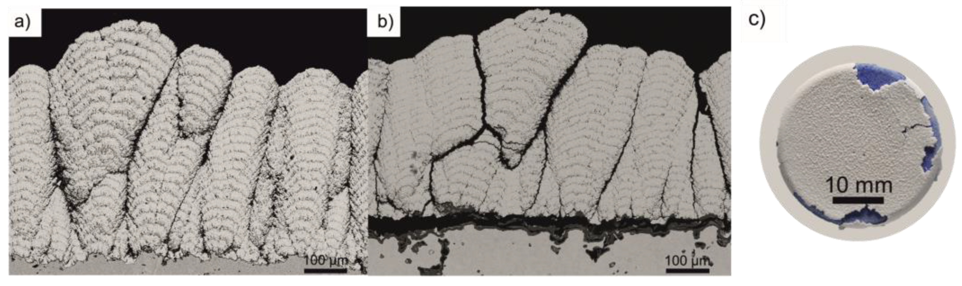 Coatings 13 01575 g008
