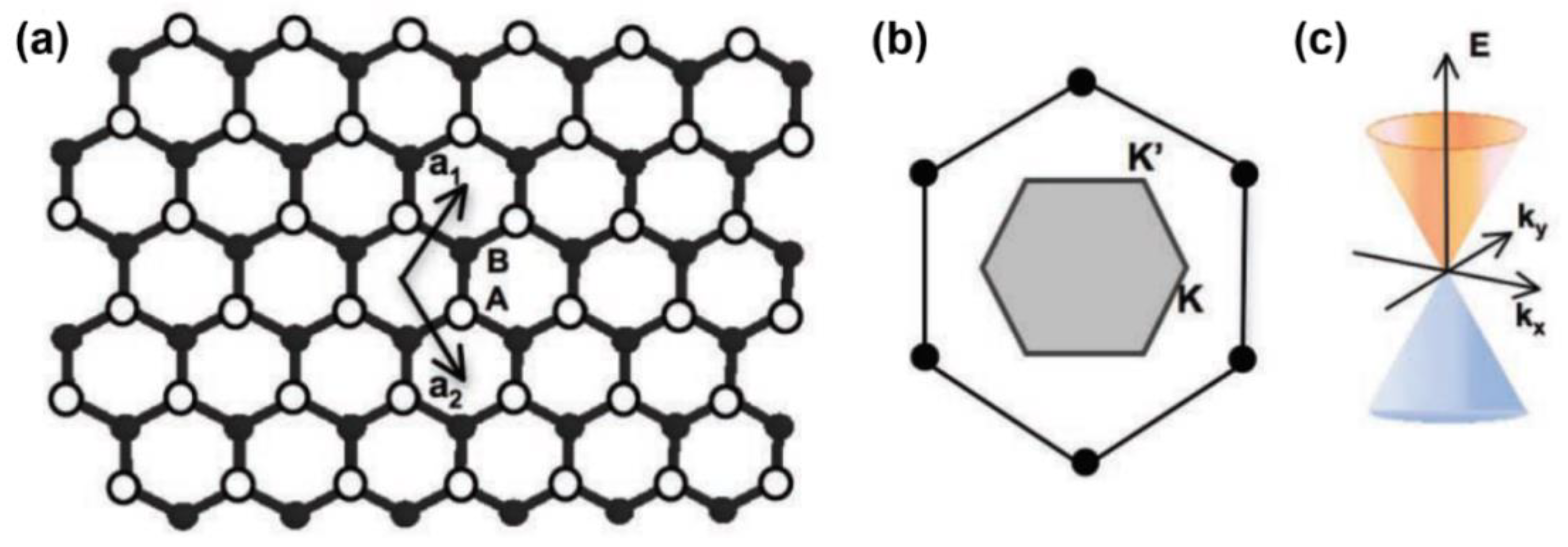 Coatings 13 01580 g001 Coatings 13 01580 g001