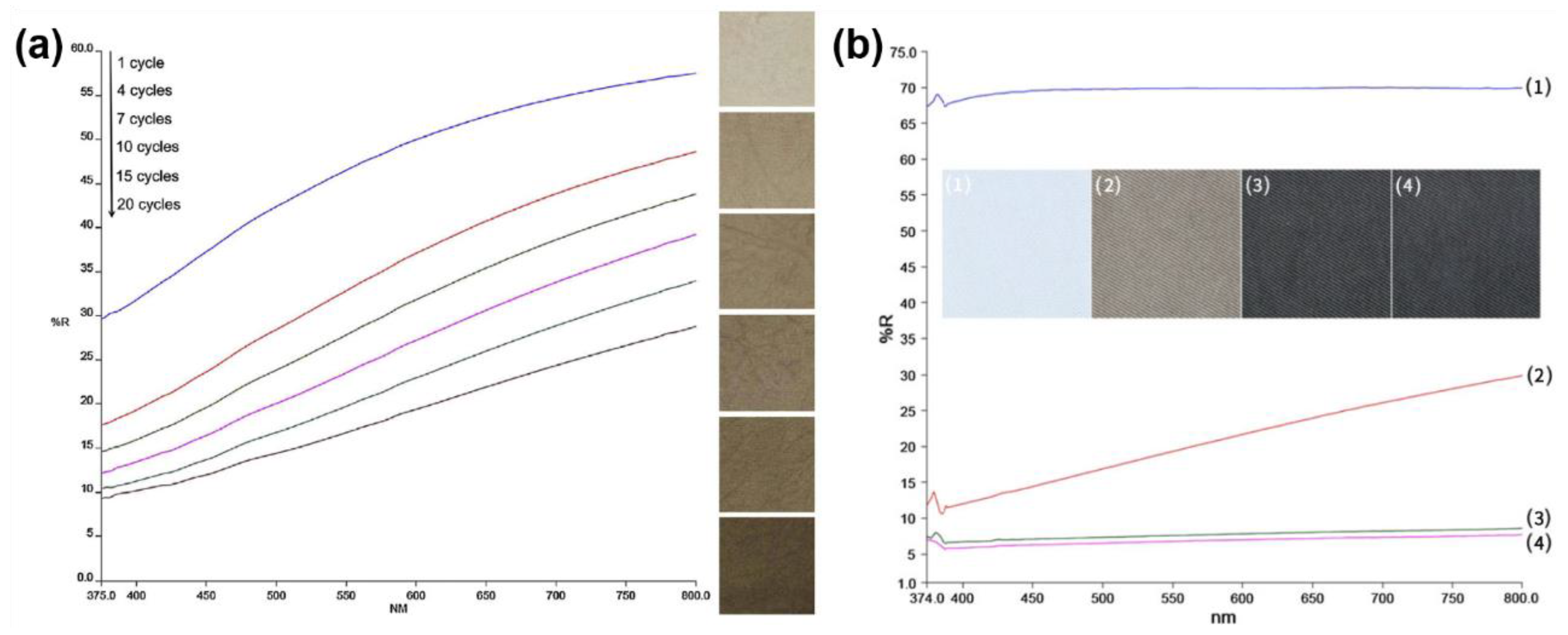 Coatings 13 01580 g004 Coatings 13 01580 g004