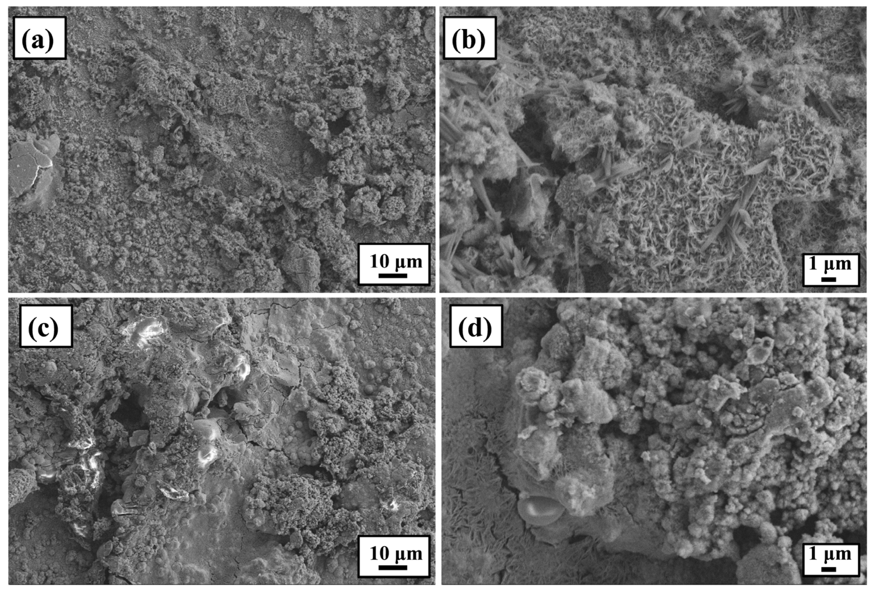 Coatings 13 01585 g011