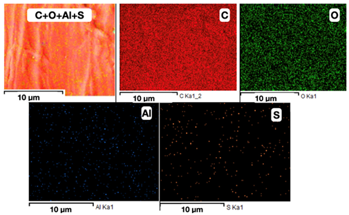Coatings 13 01592 i004