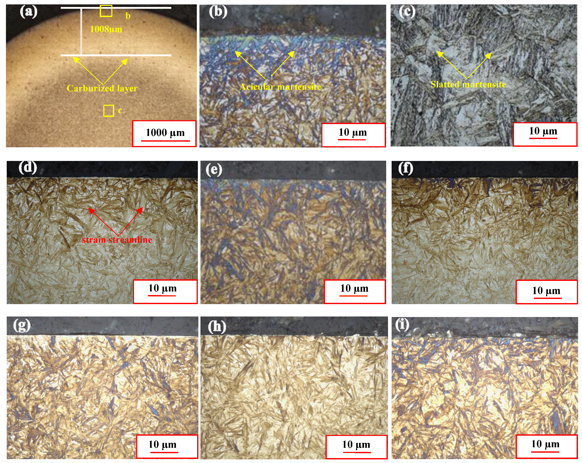 Coatings 13 01594 g008
