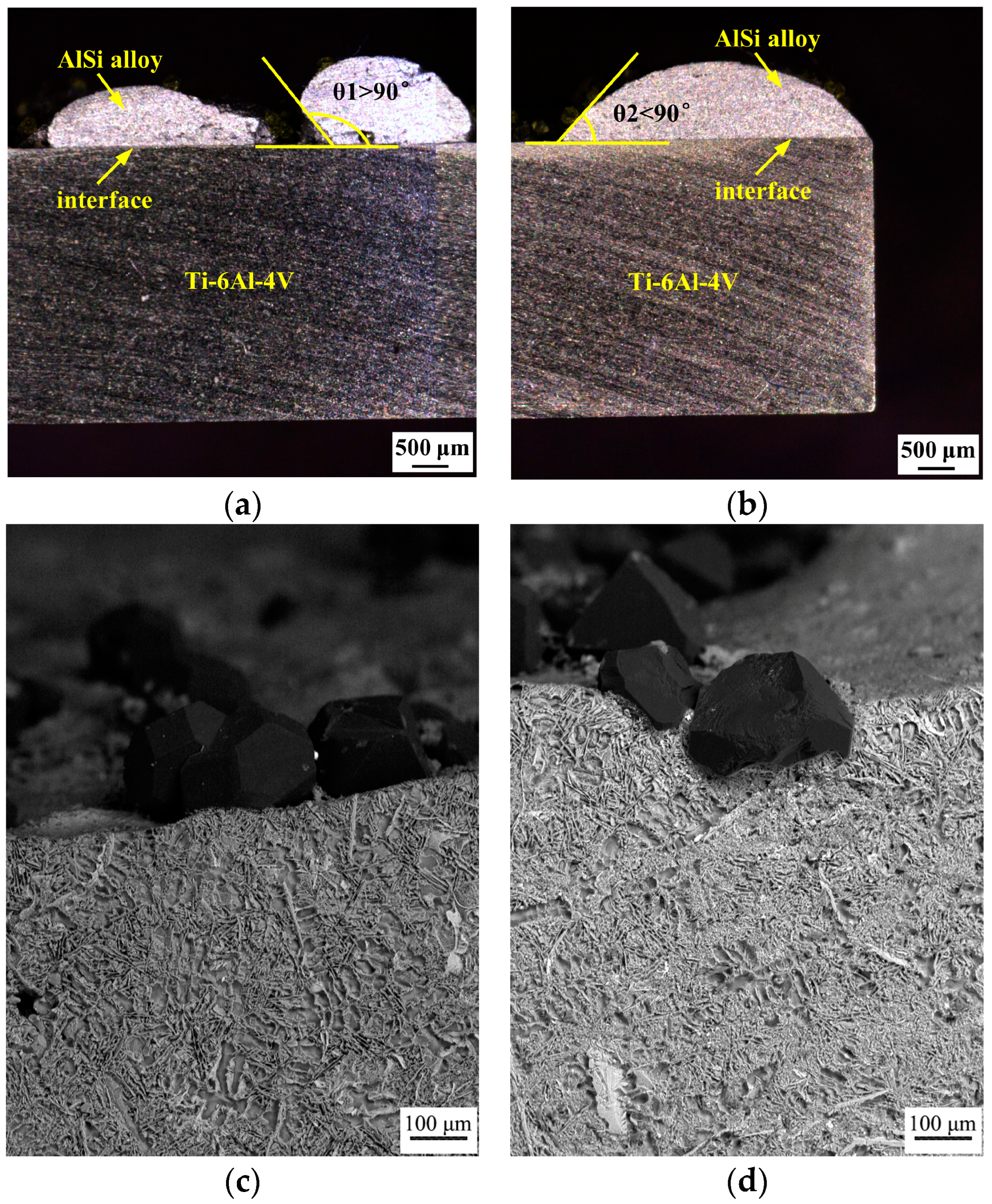 Coatings 13 01596 g002