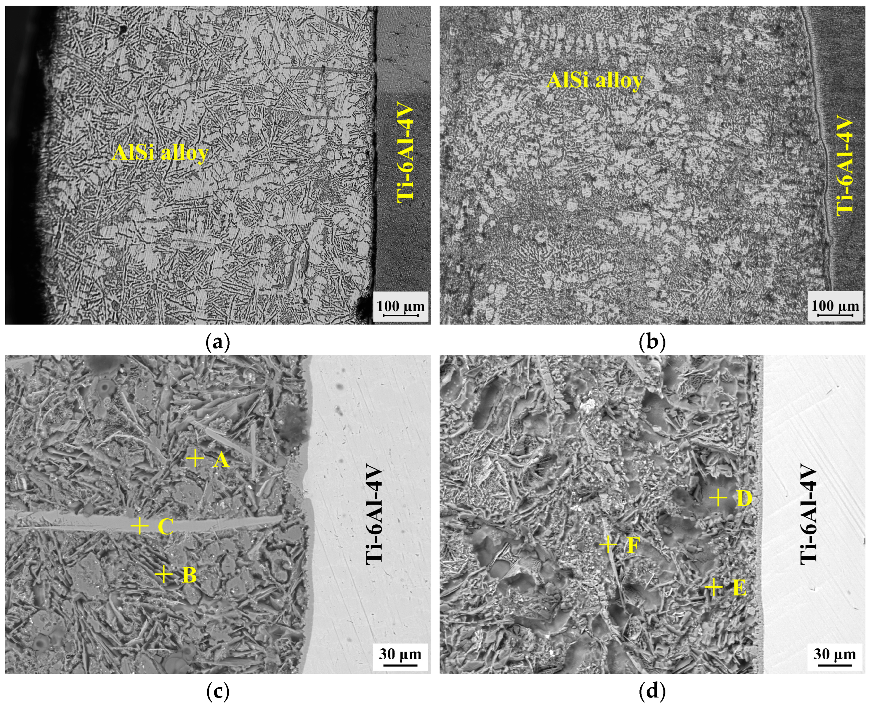 Coatings 13 01596 g003
