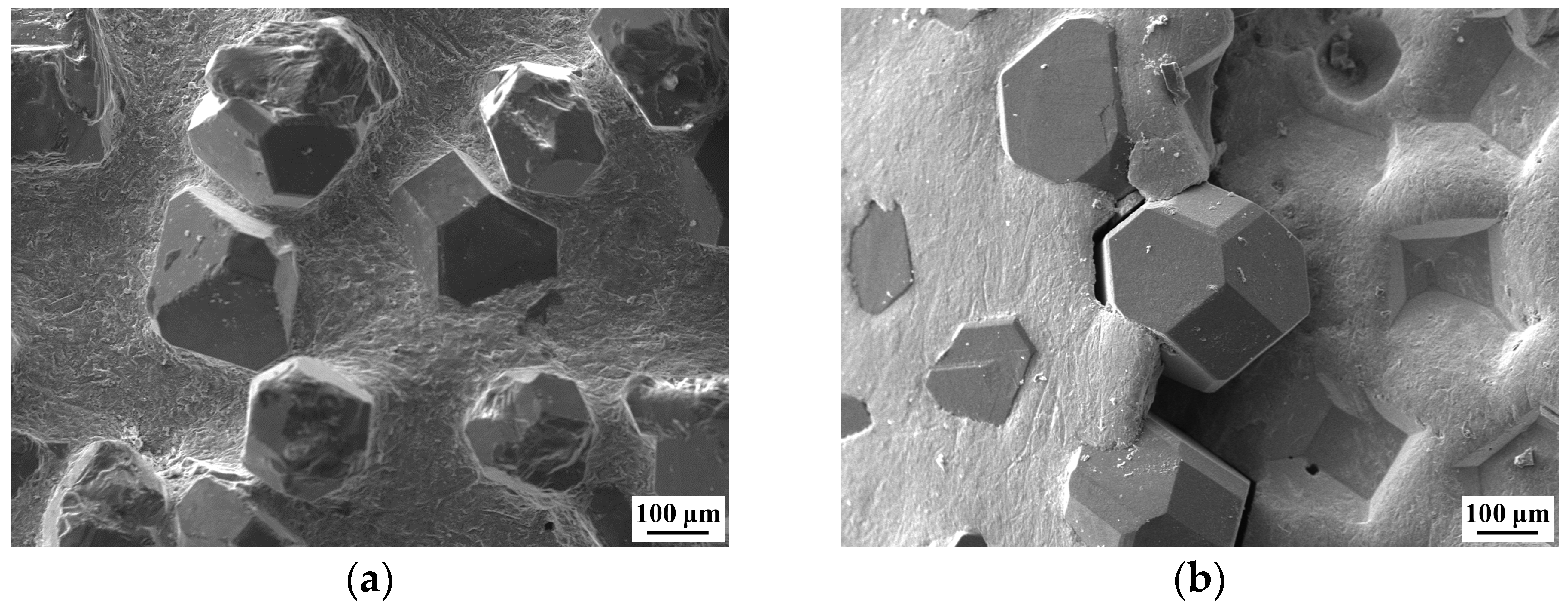 Coatings 13 01596 g011