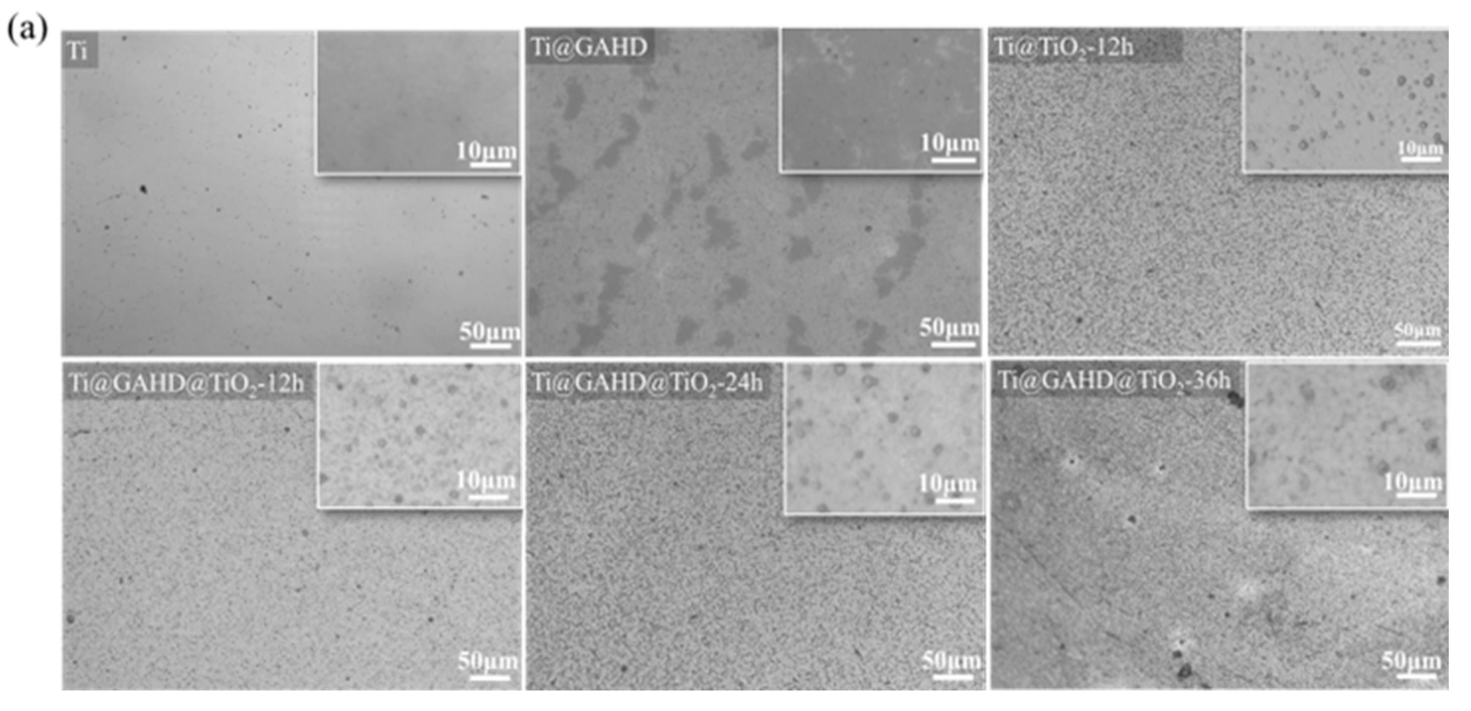 Coatings 13 01600 g002a
