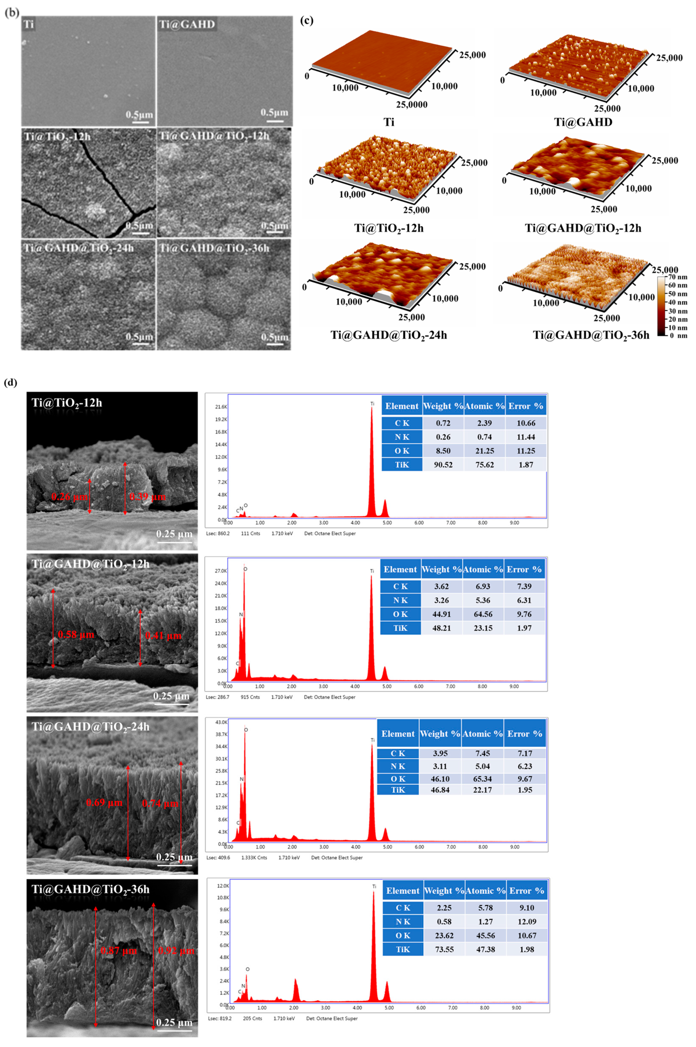 Coatings 13 01600 g002b