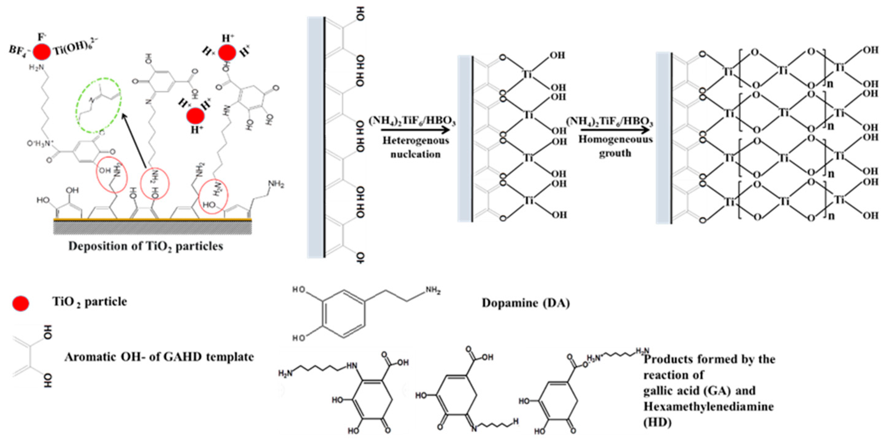 Coatings 13 01600 g009