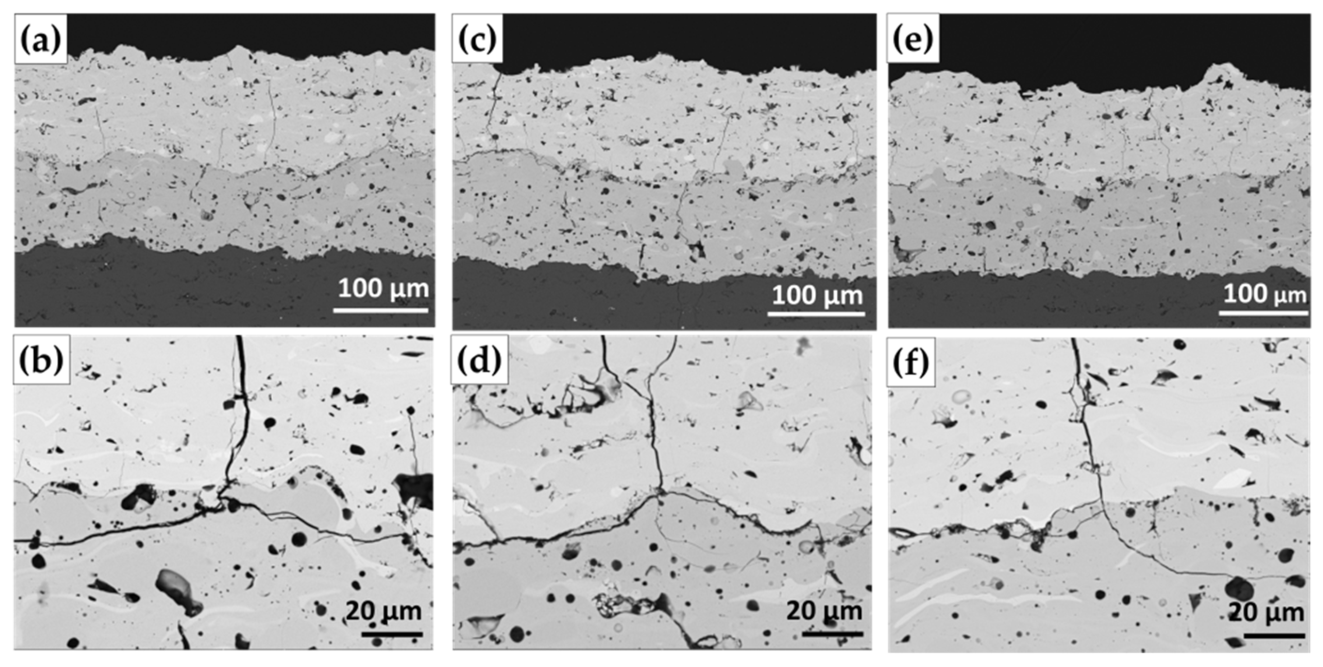 Coatings 13 01602 g007